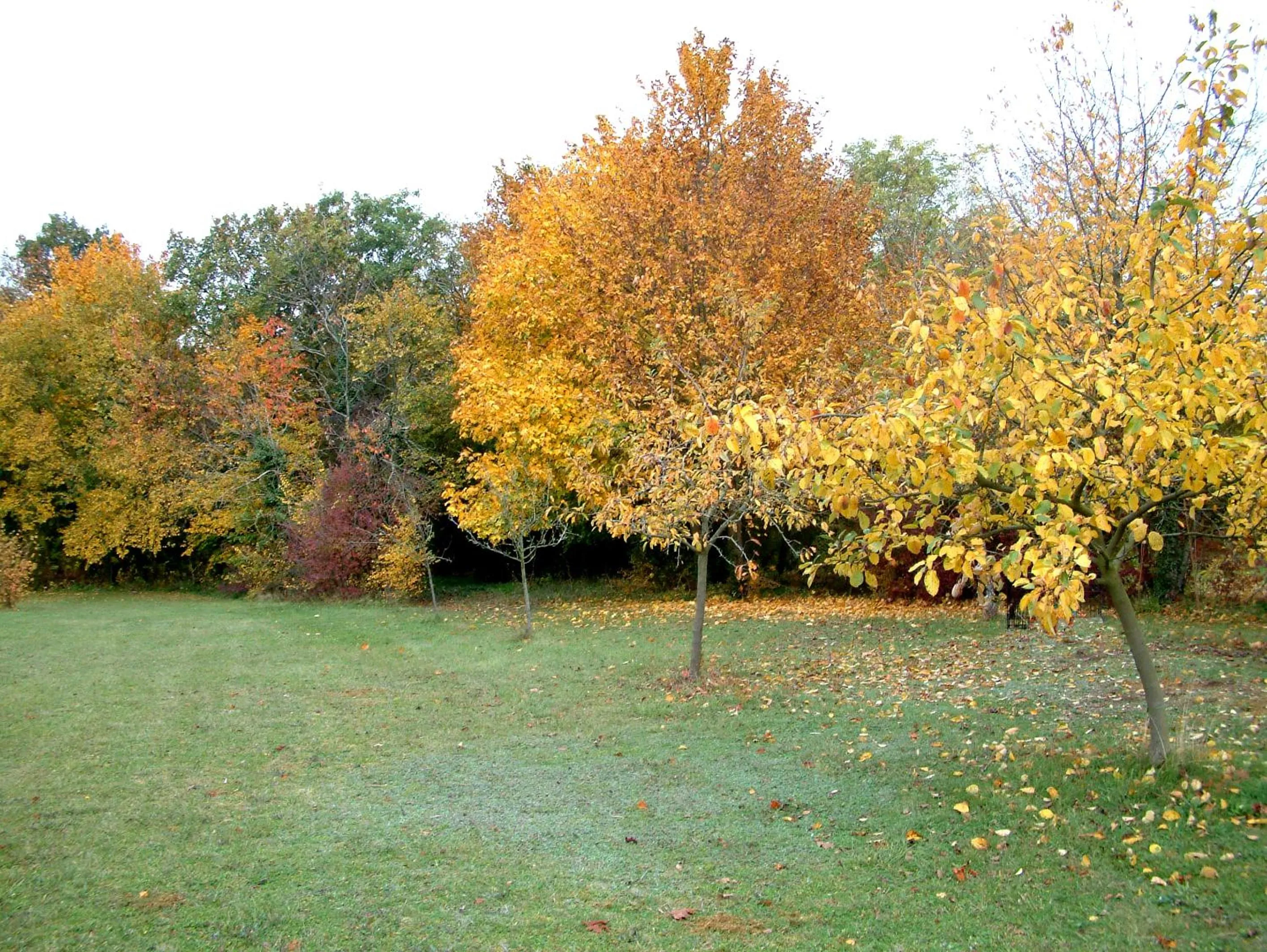 Area and facilities in La Roseraie