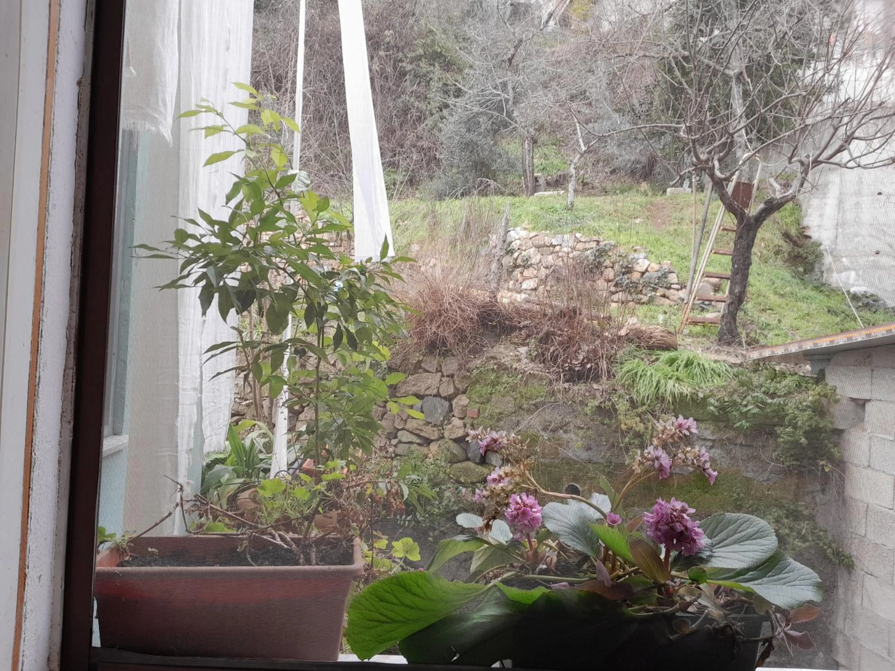 Day in Antichi Sapori da Speranza