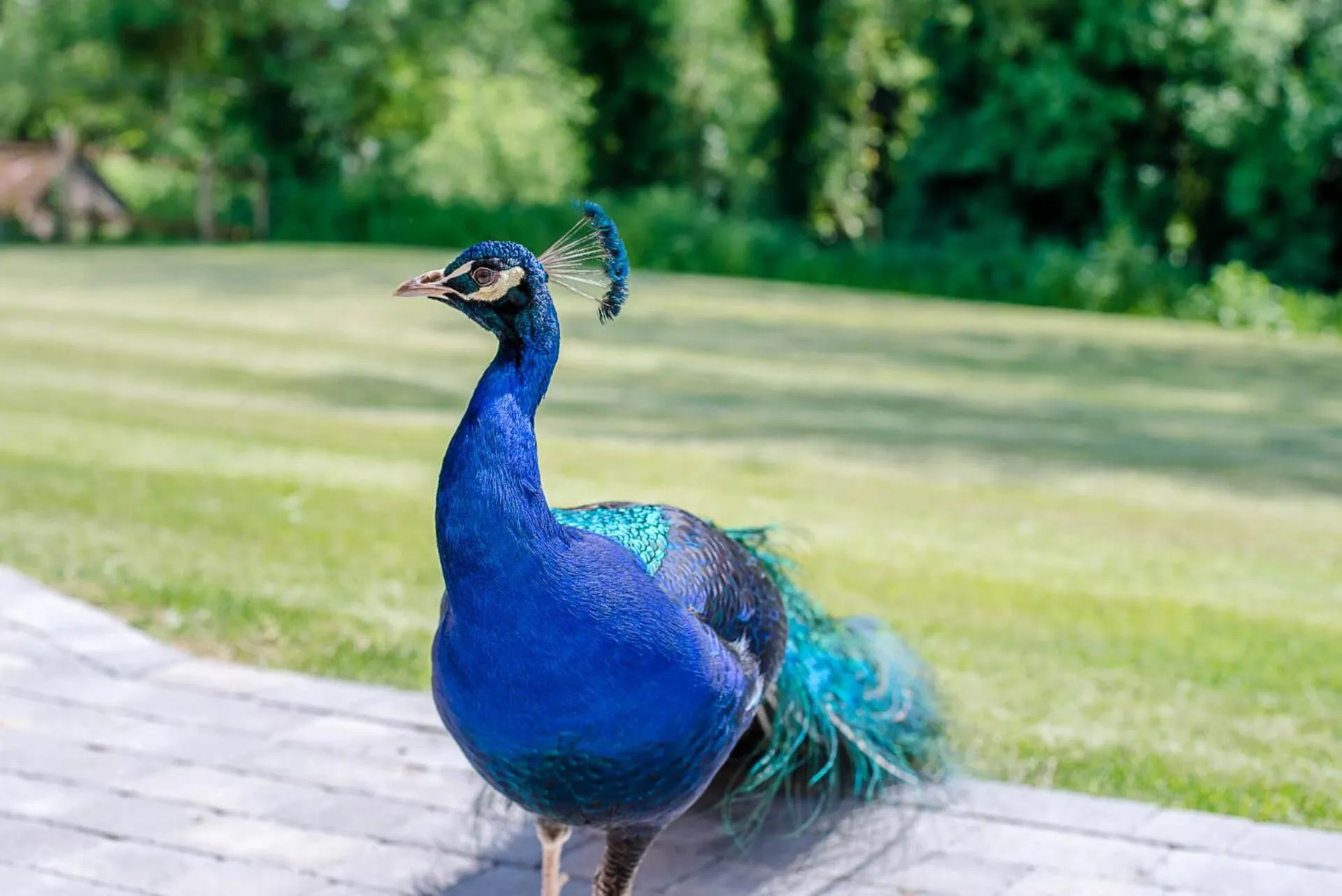 Chapel Cottage at Pond Hall Farm, Stunnning Property with Private Hot Tub, Hadleigh