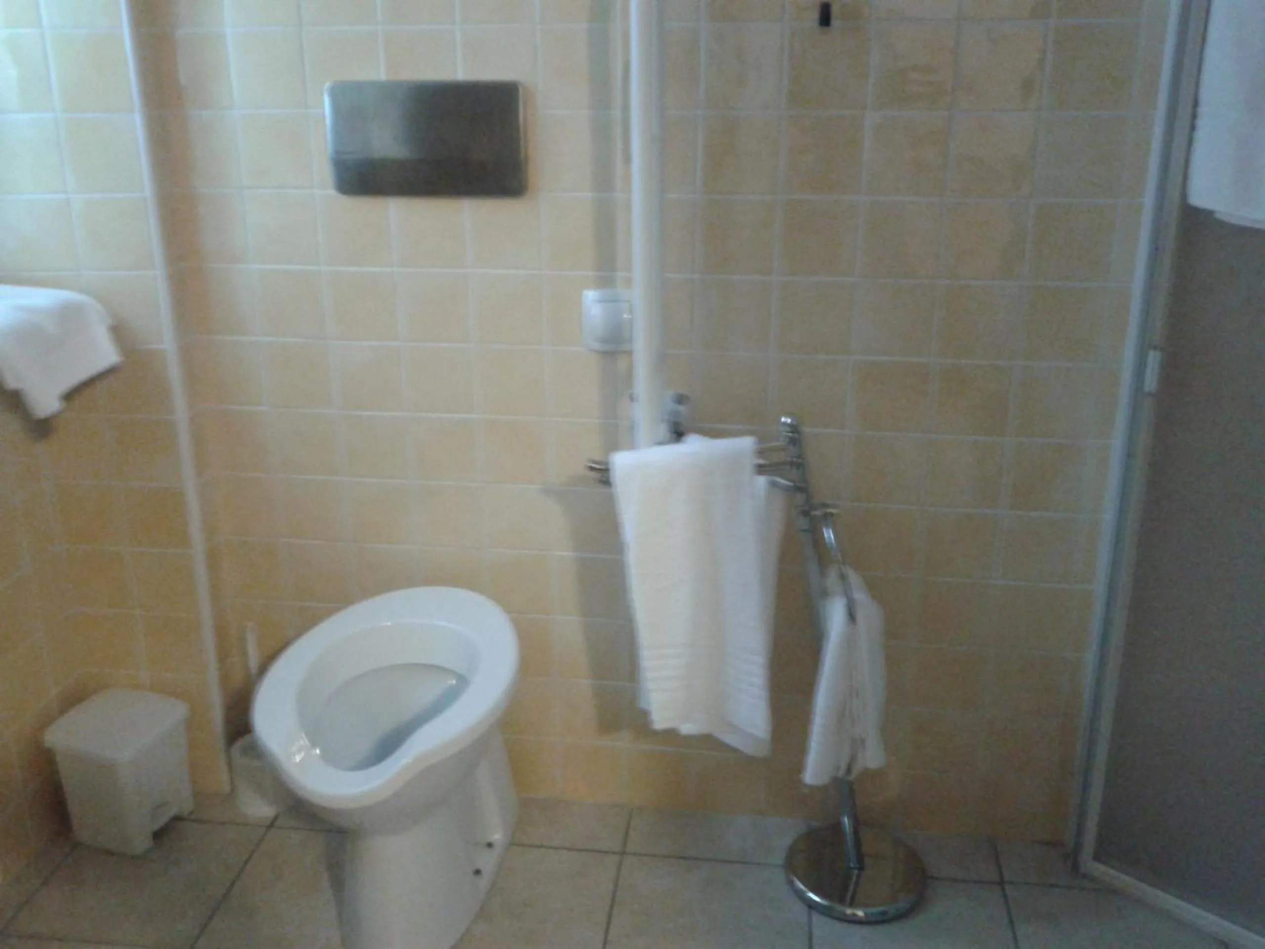 Toilet in La Pania