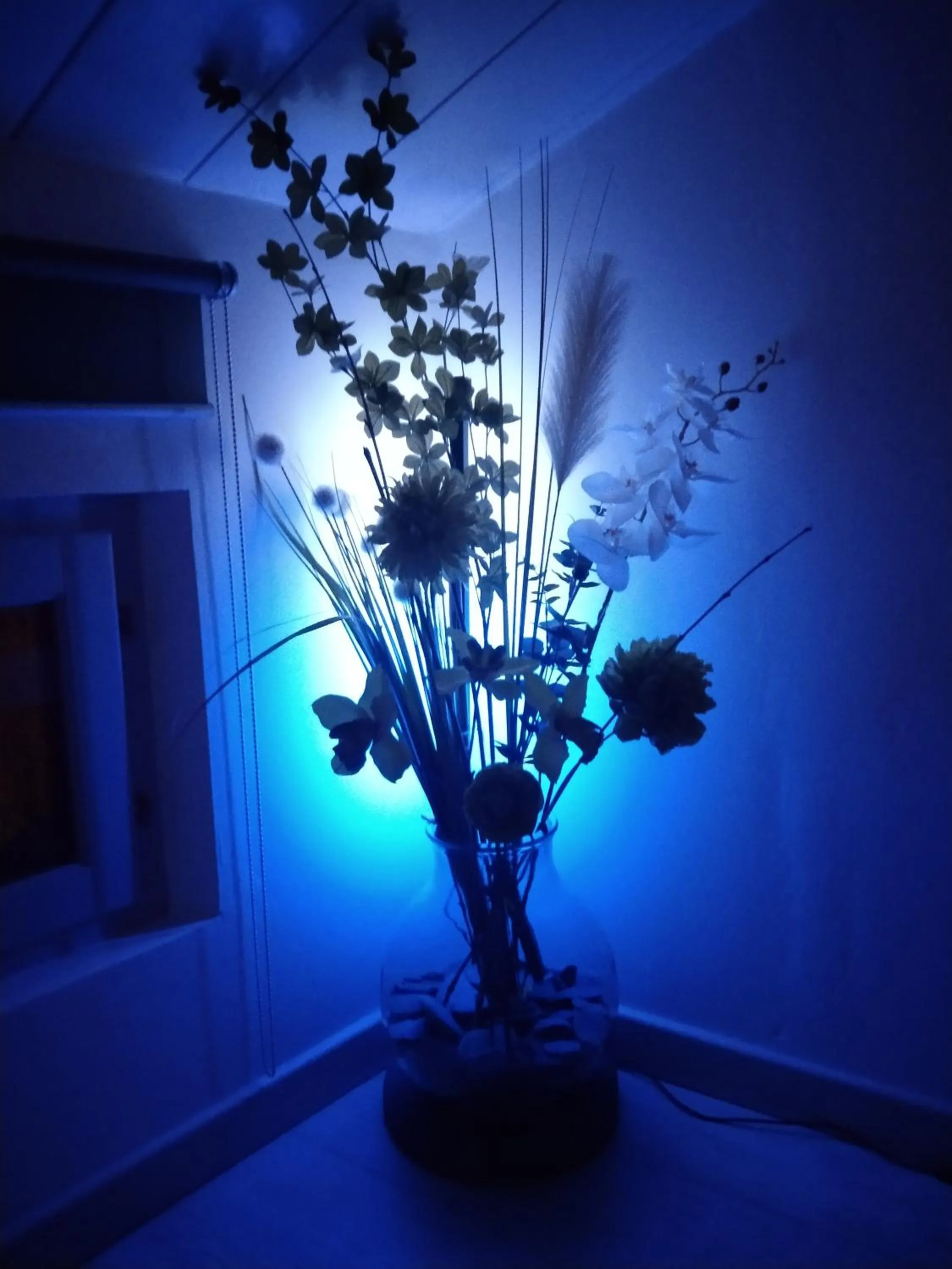 Property building in Lou calado