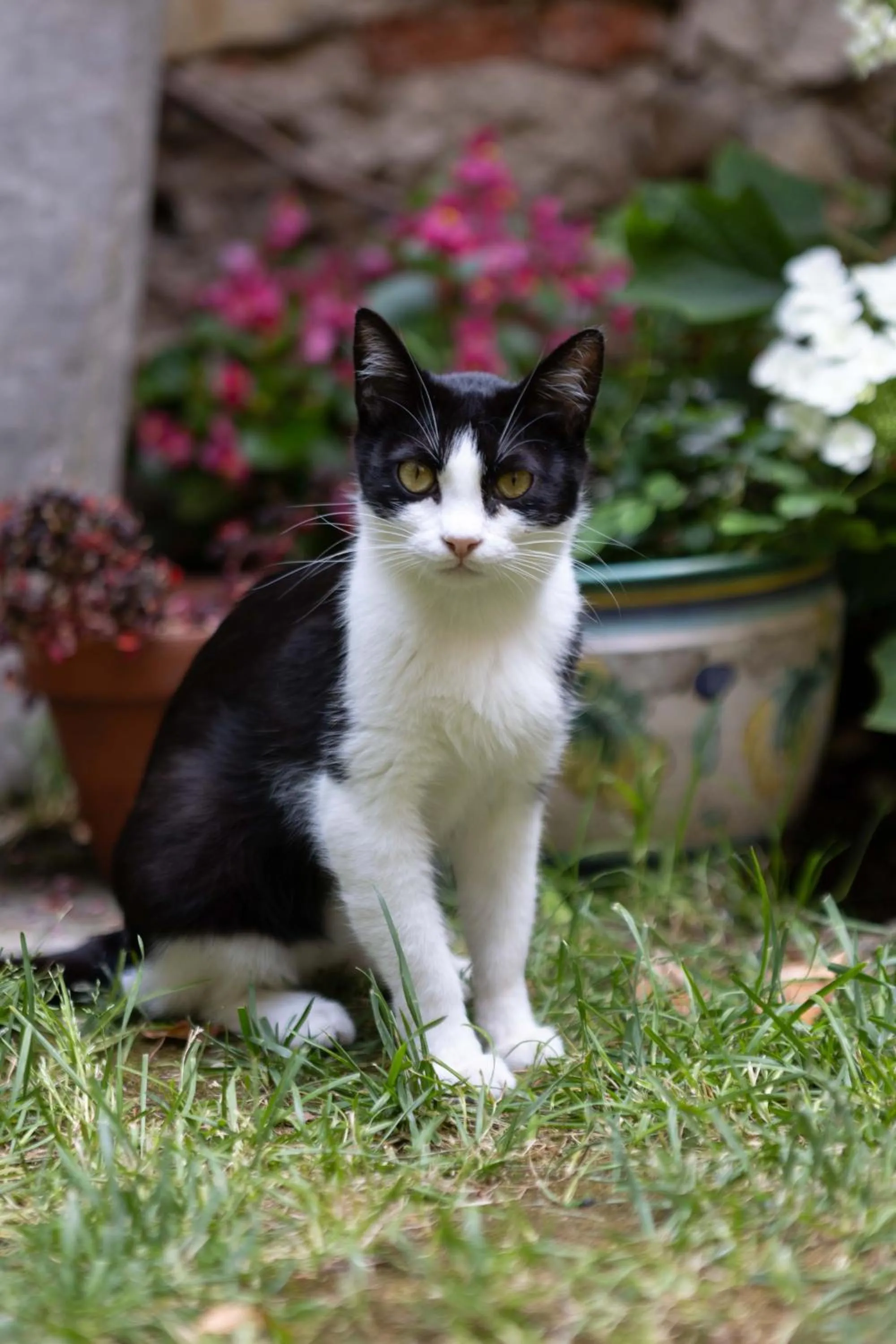 Garden in Secret Garden Firenze B&B