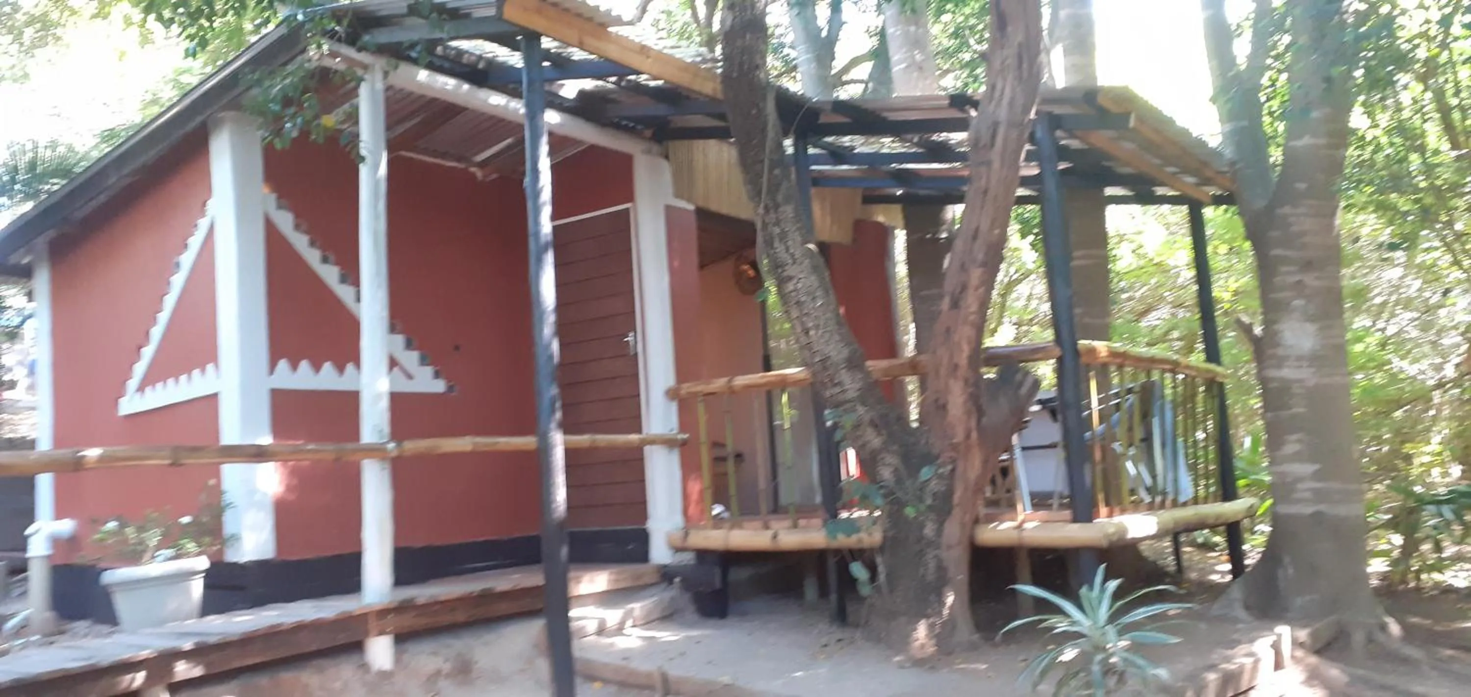 Garden in Hazyview Adventure Backpackers