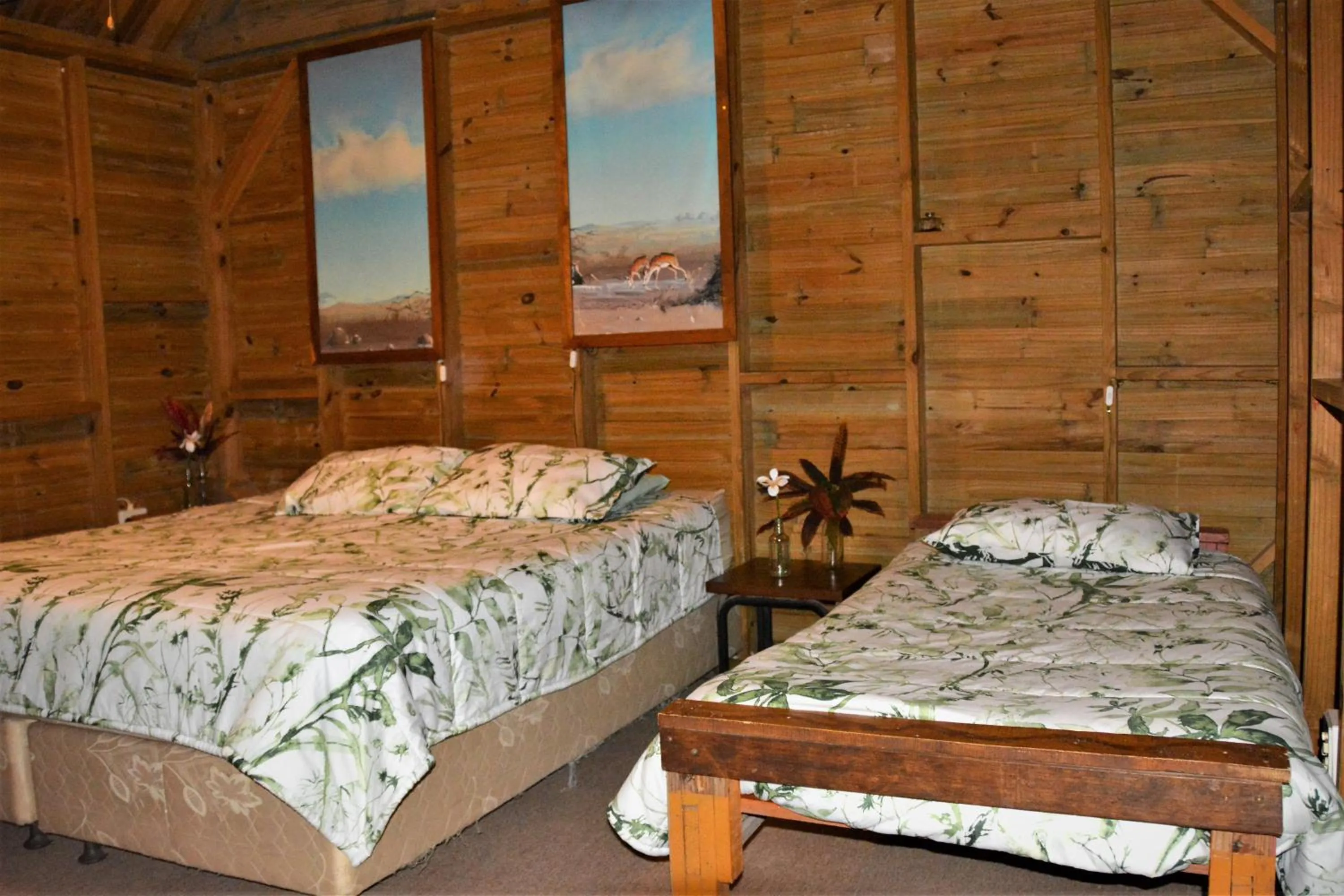 Bed in Hazyview Adventure Backpackers