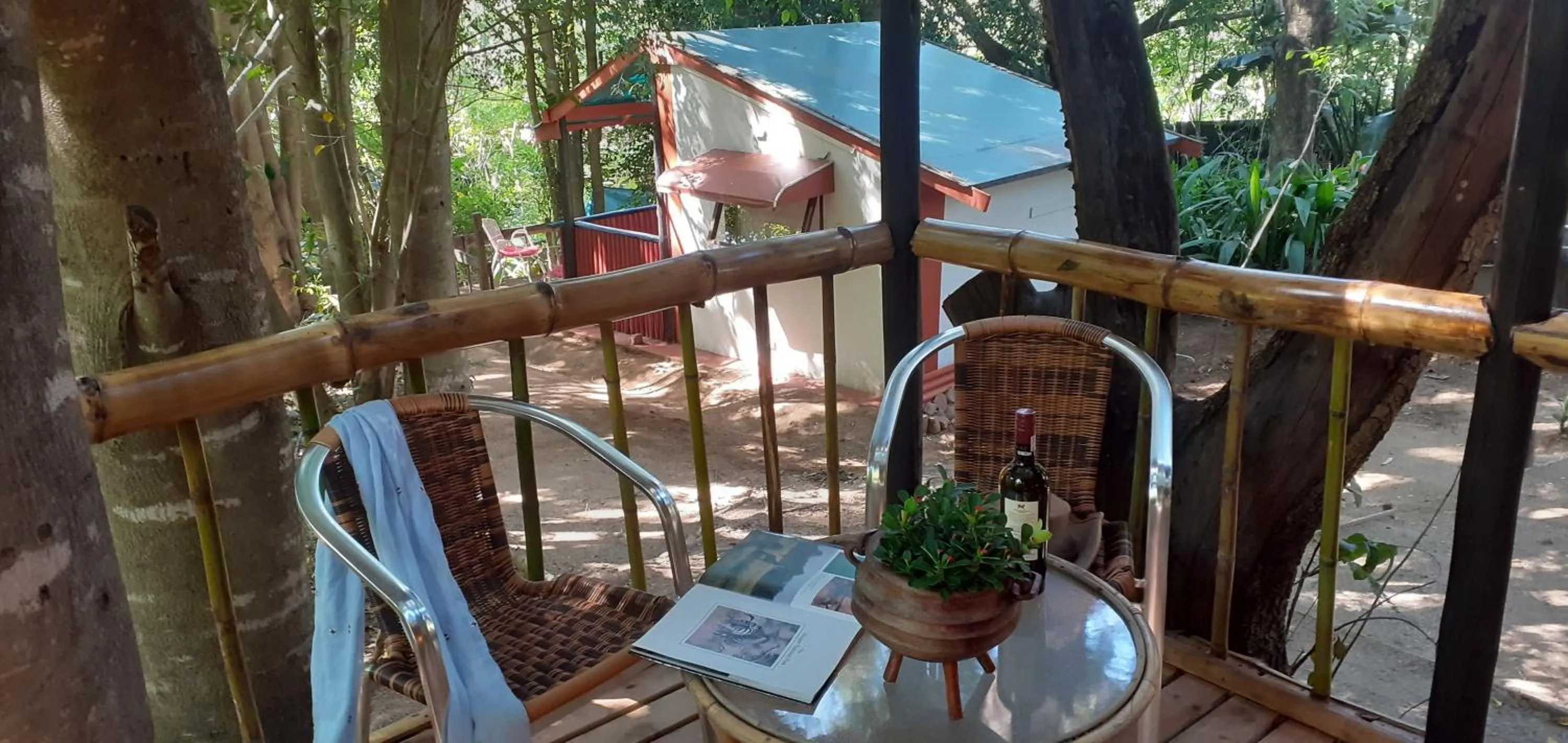 Balcony/Terrace in Hazyview Adventure Backpackers