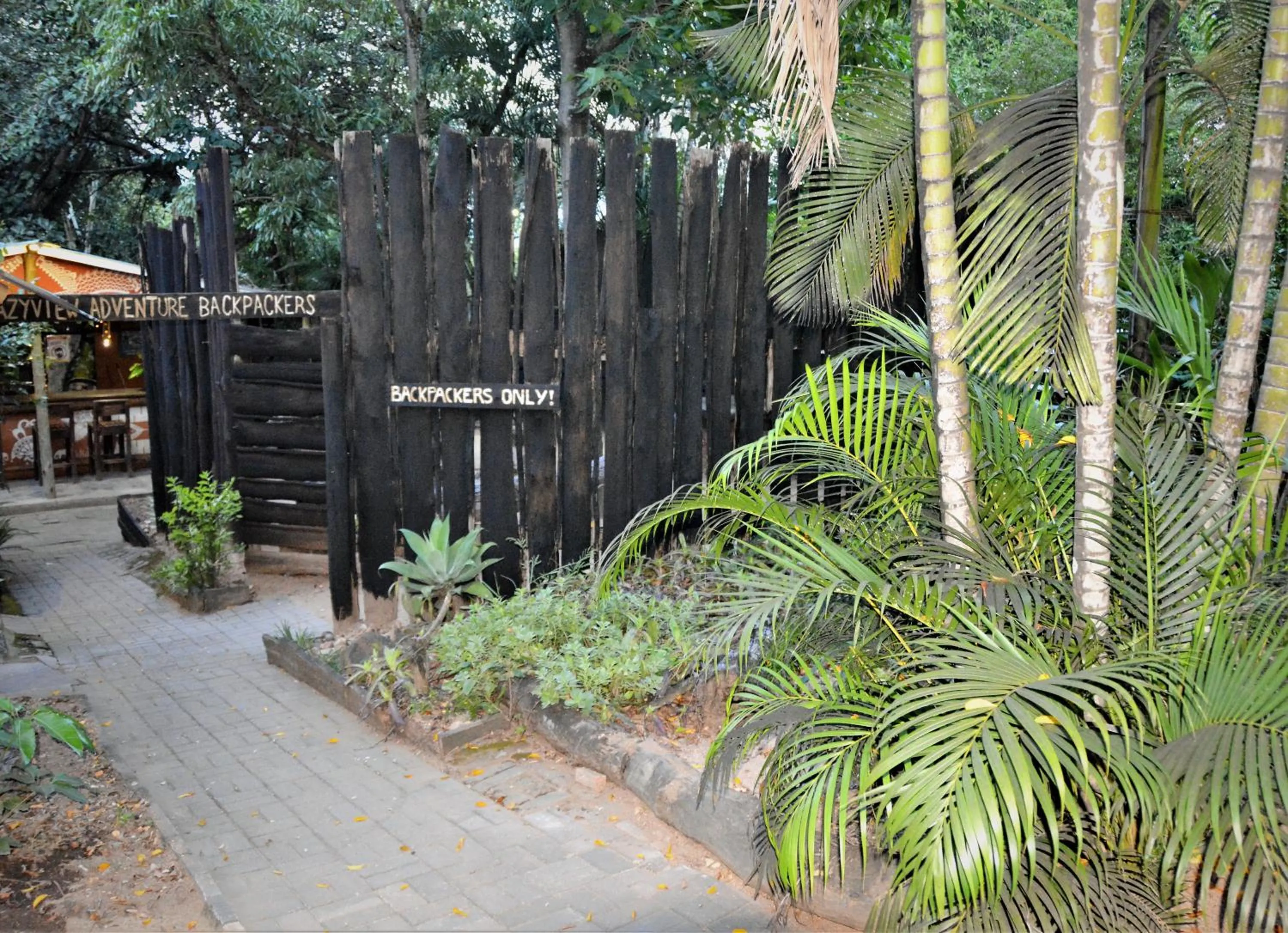 Natural landscape in Hazyview Adventure Backpackers