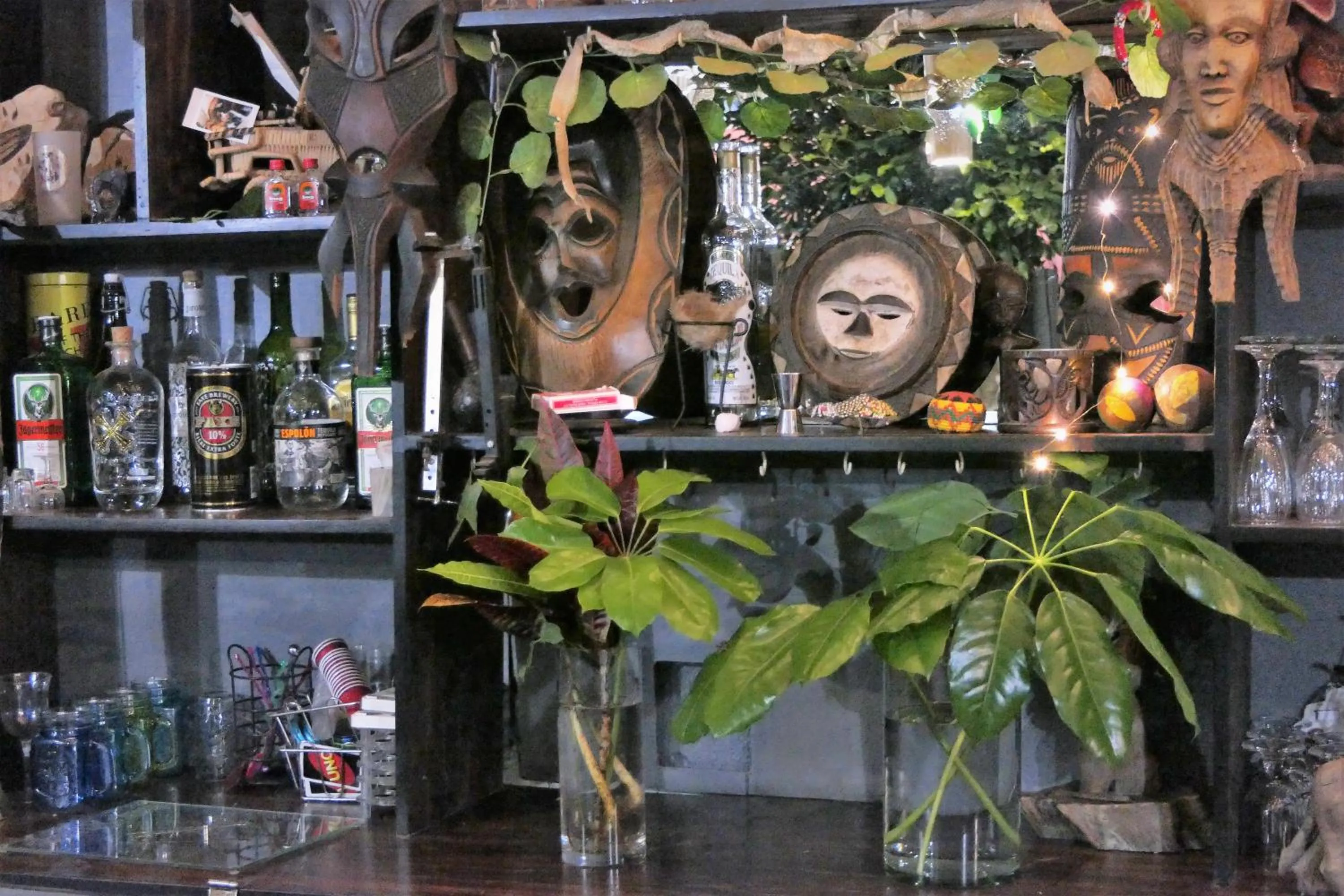 Lounge or bar in Hazyview Adventure Backpackers