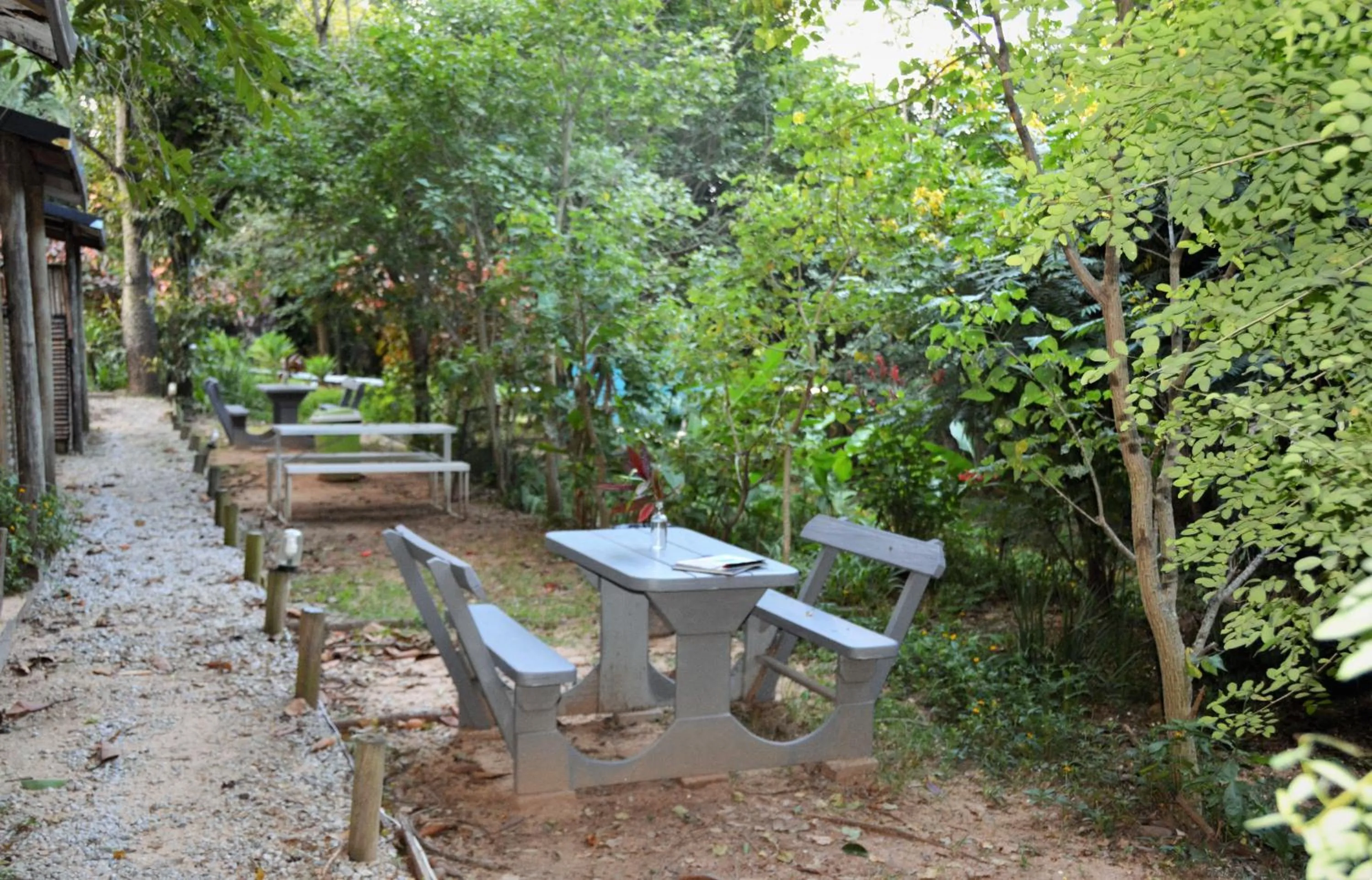 Day in Hazyview Adventure Backpackers