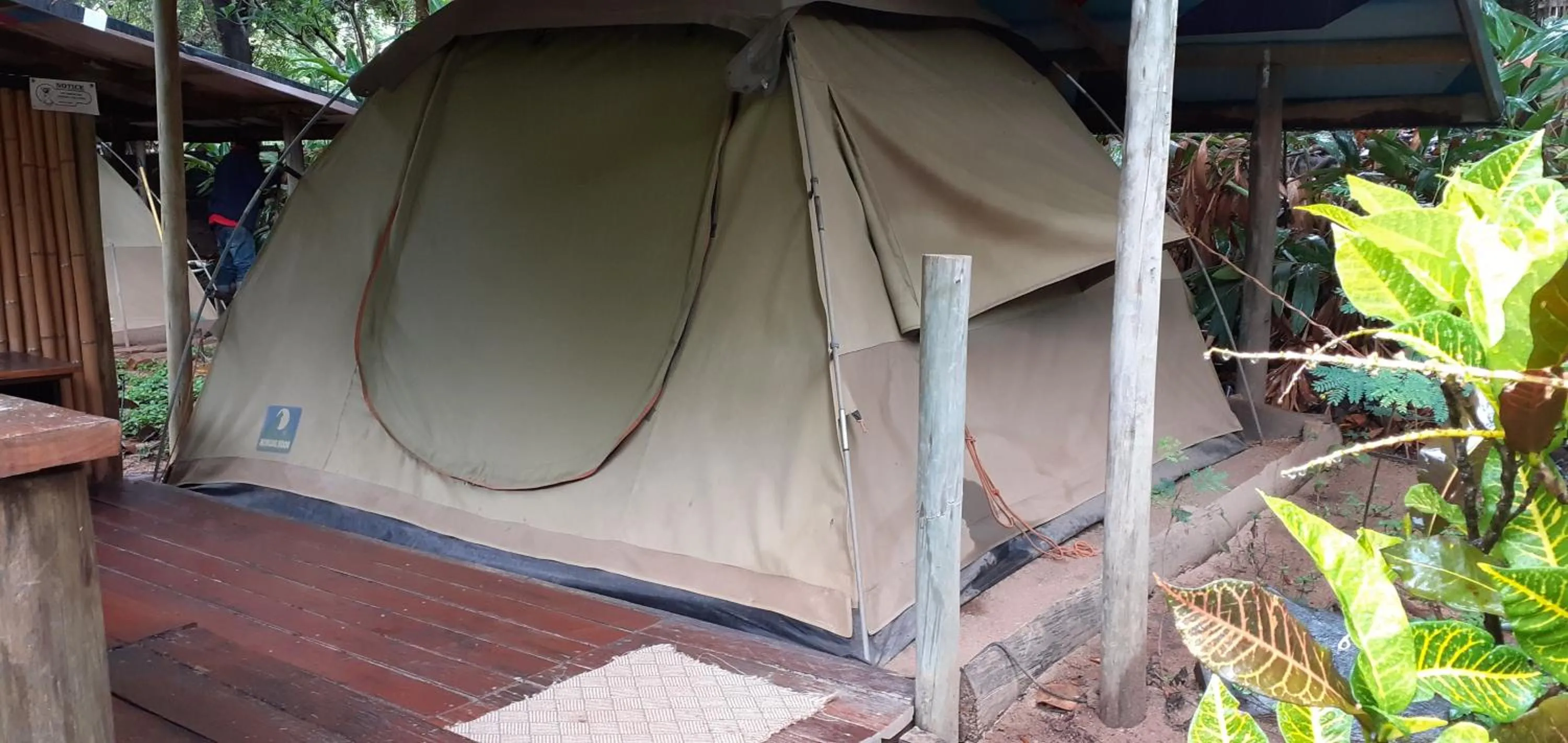 Balcony/Terrace in Hazyview Adventure Backpackers