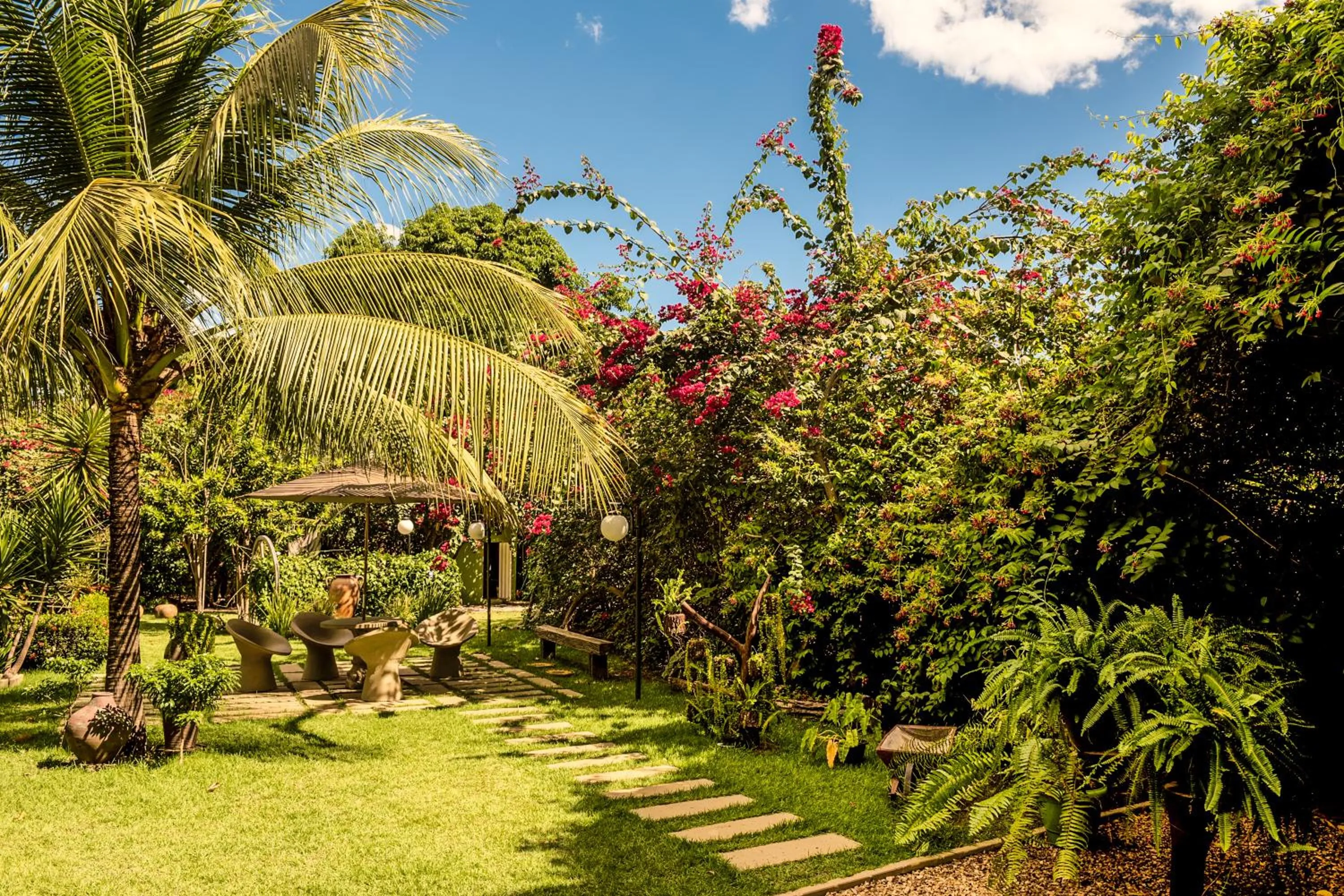 Garden in BALSAS PREMIER HOTEL