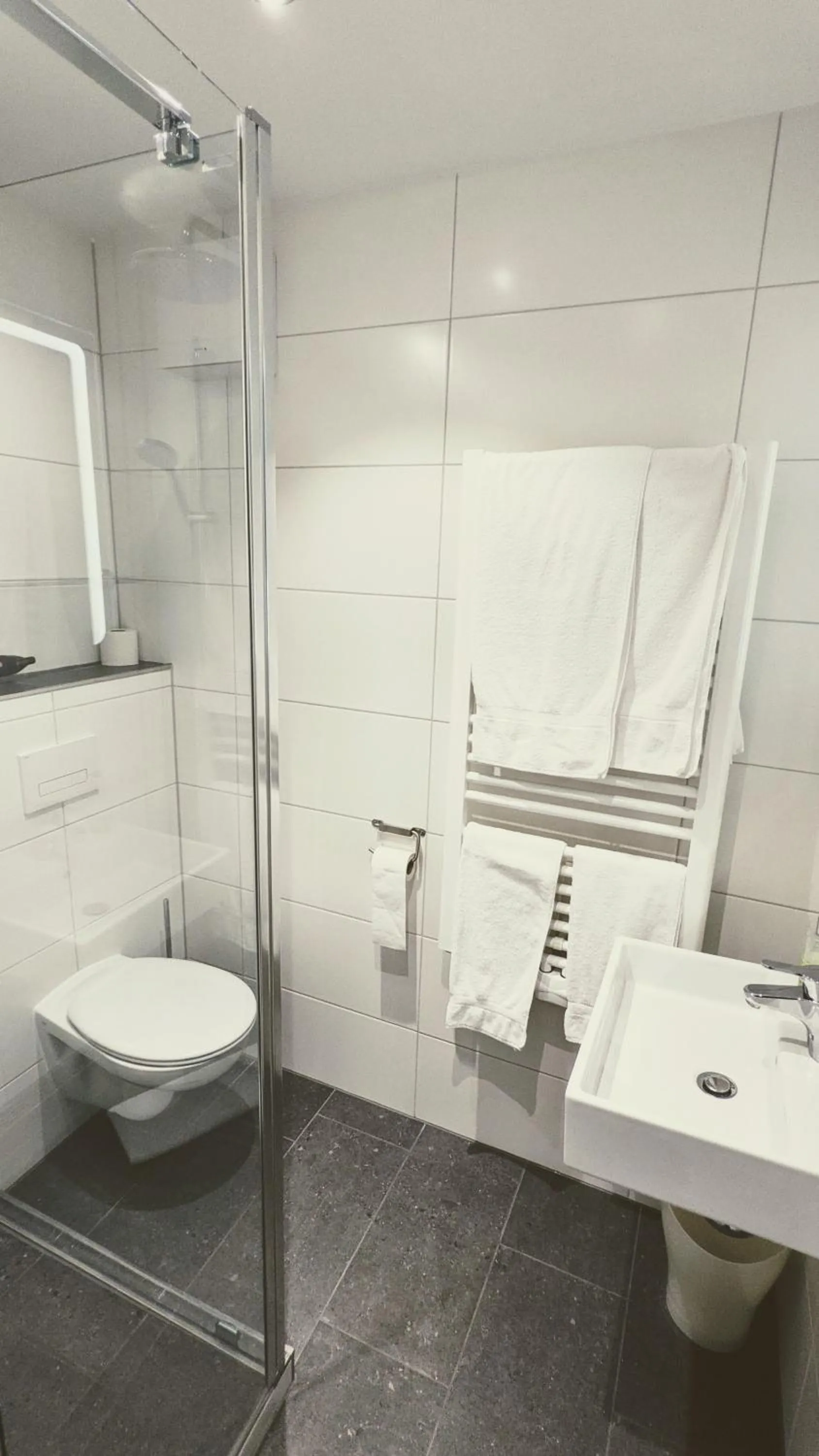 Bathroom in Hotel Rotes Ross