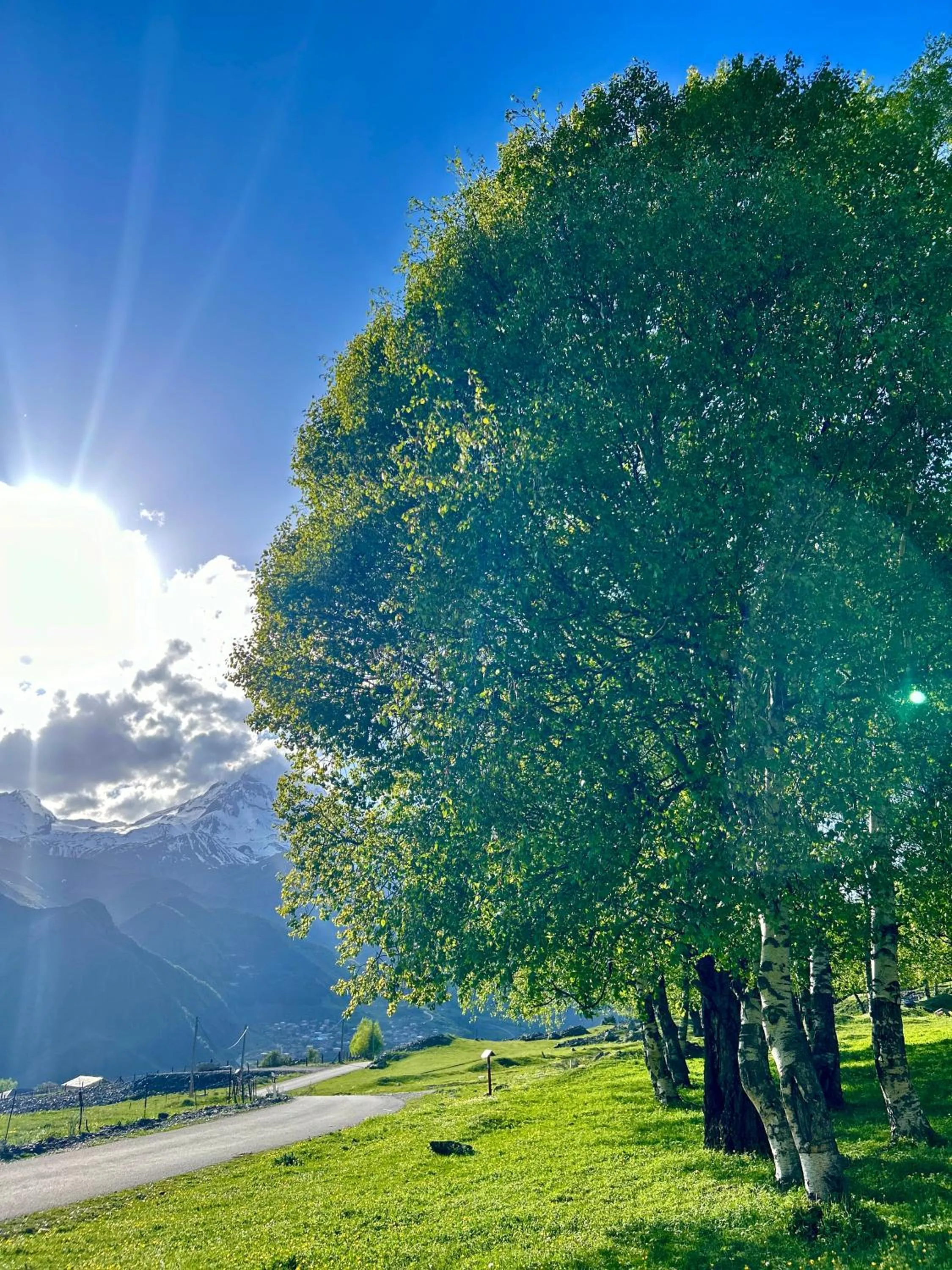Natural landscape in Mountain House Kazbegi