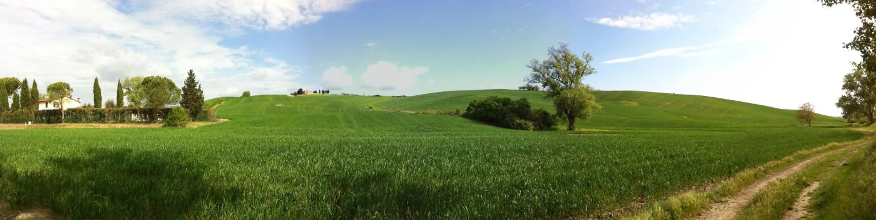 View (from property/room) in Podere Il Mulino