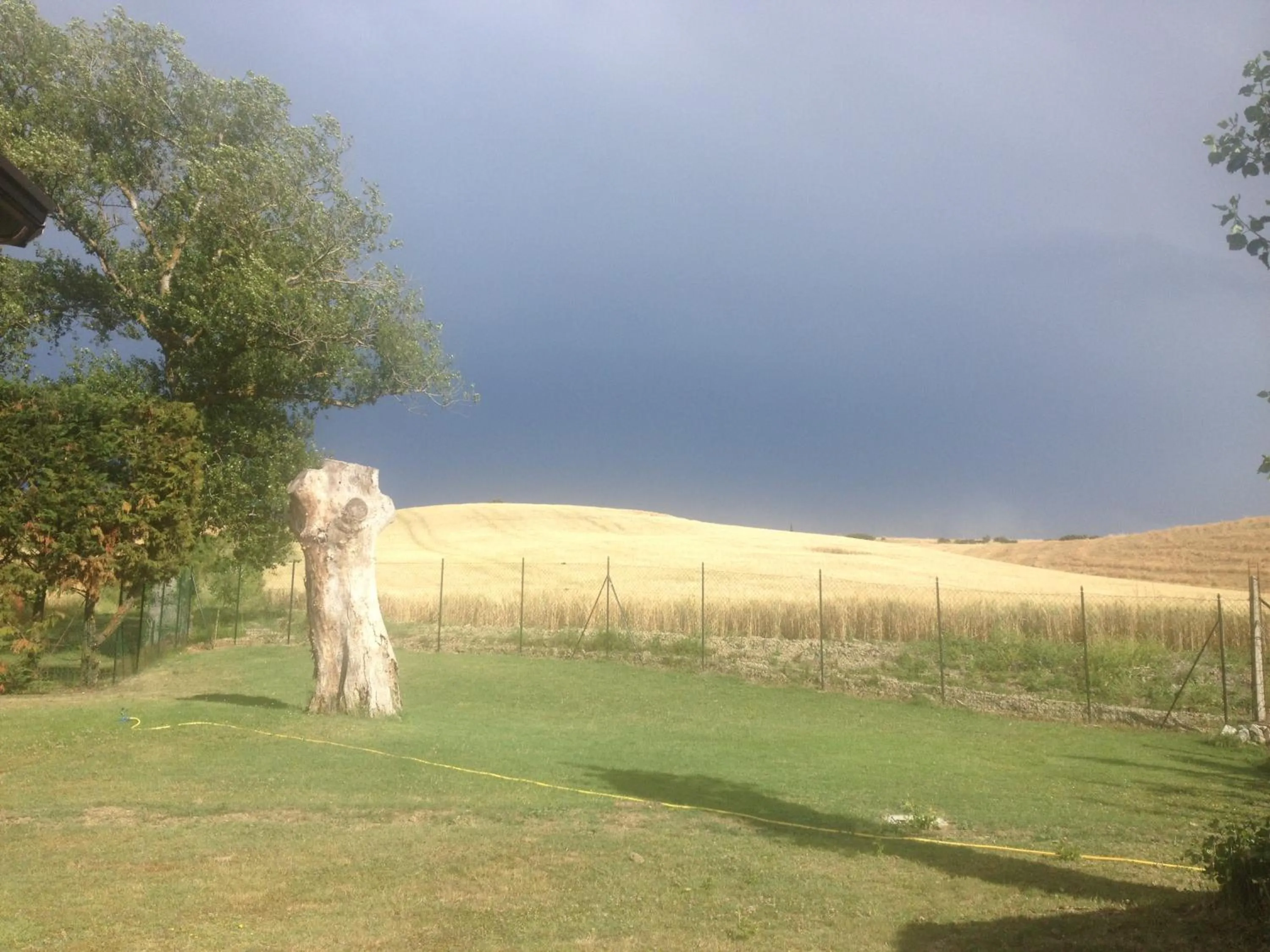 View (from property/room) in Podere Il Mulino