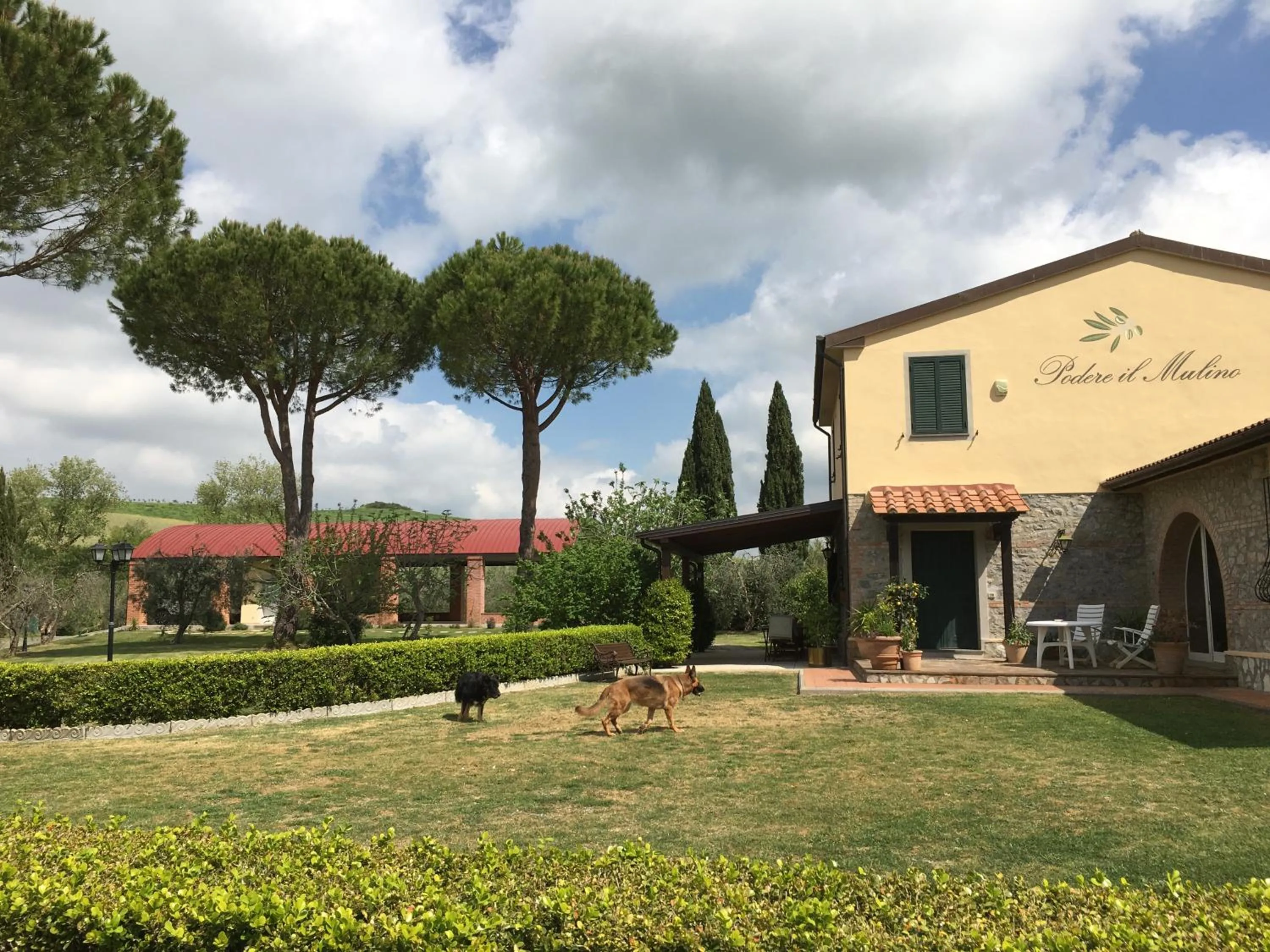 Pets in Podere Il Mulino