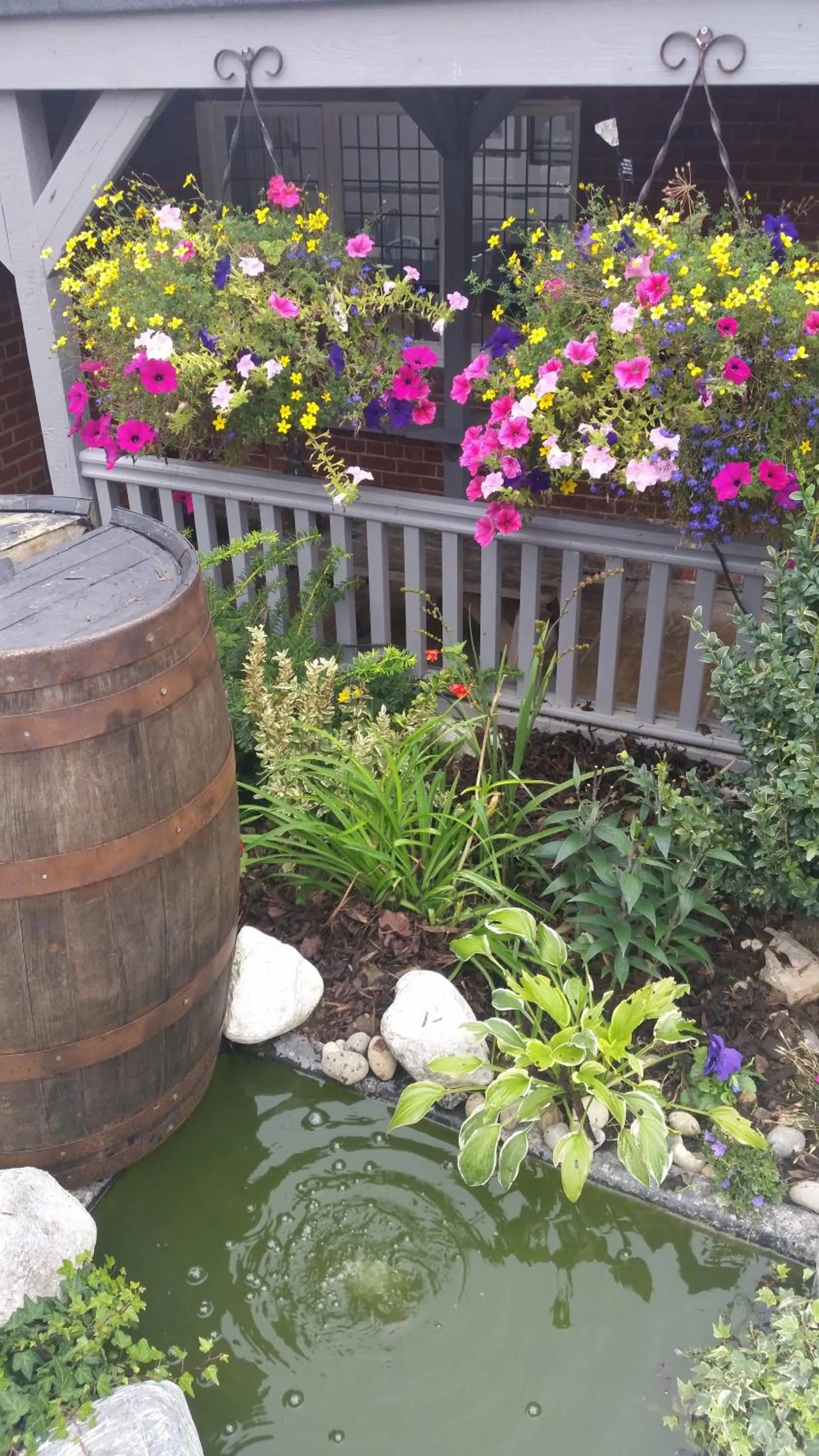 Garden in Castle Hotel