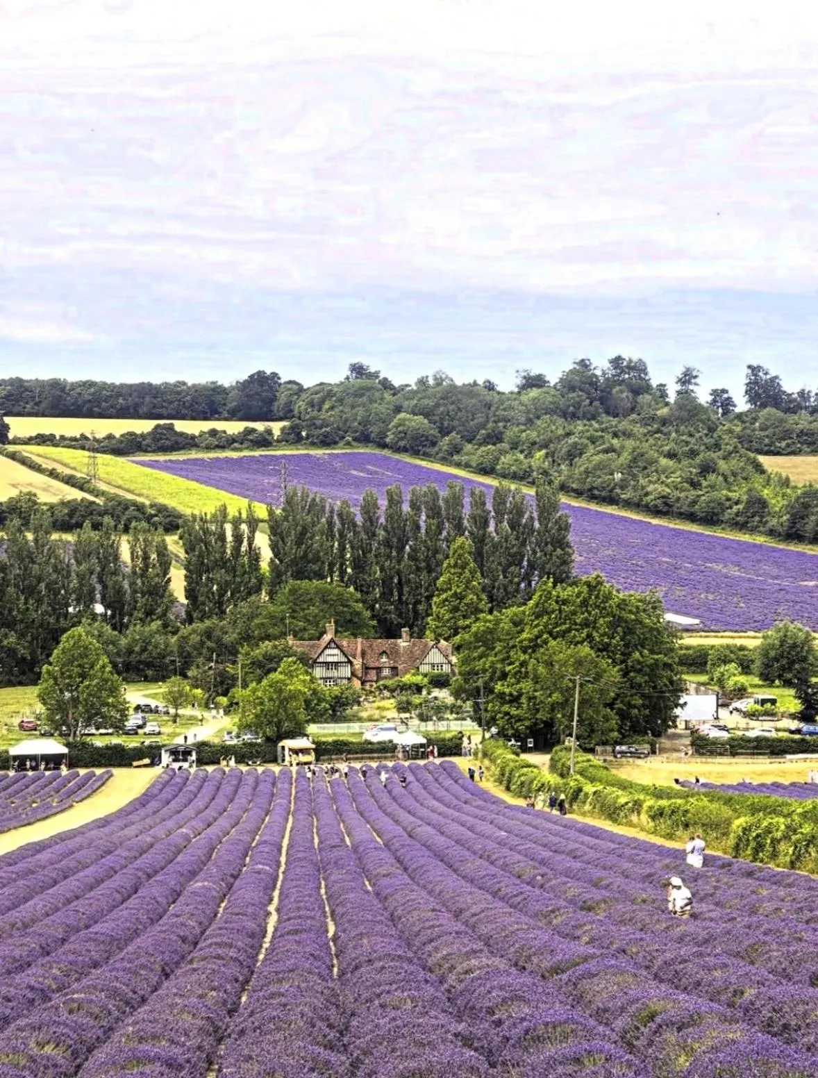 Nearby landmark in Castle Hotel