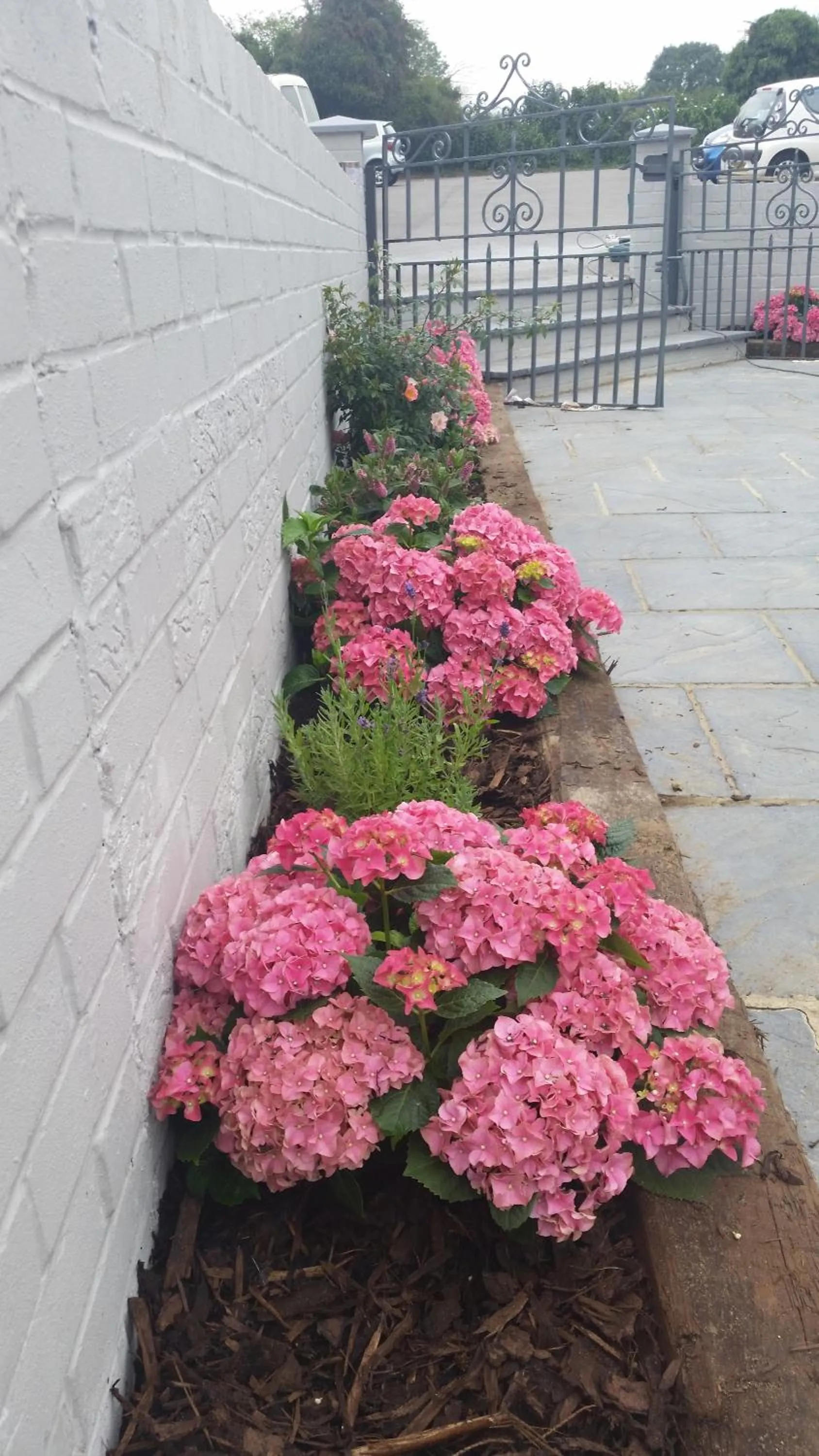 Patio in Castle Hotel