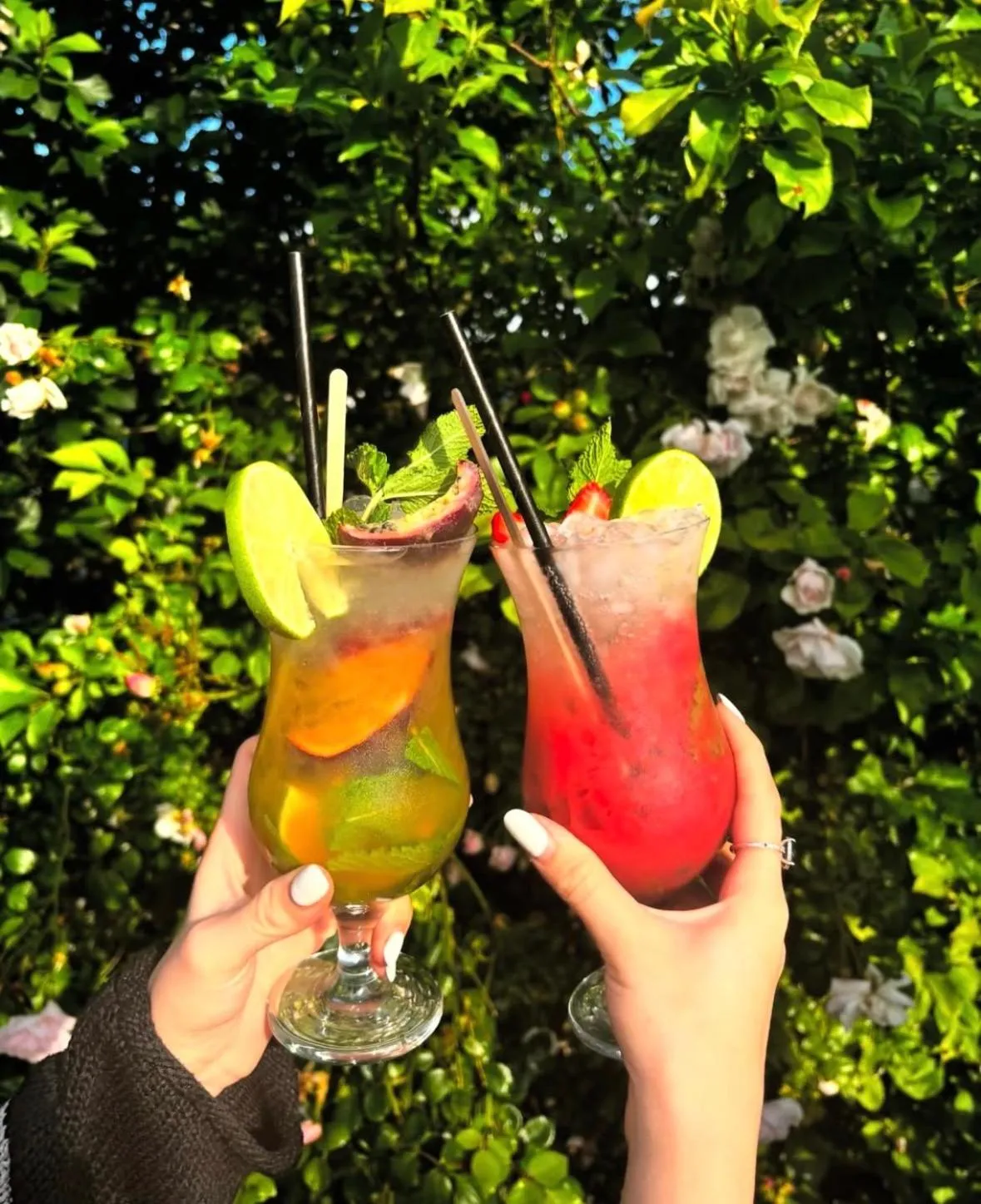 Alcoholic drinks in Castle Hotel