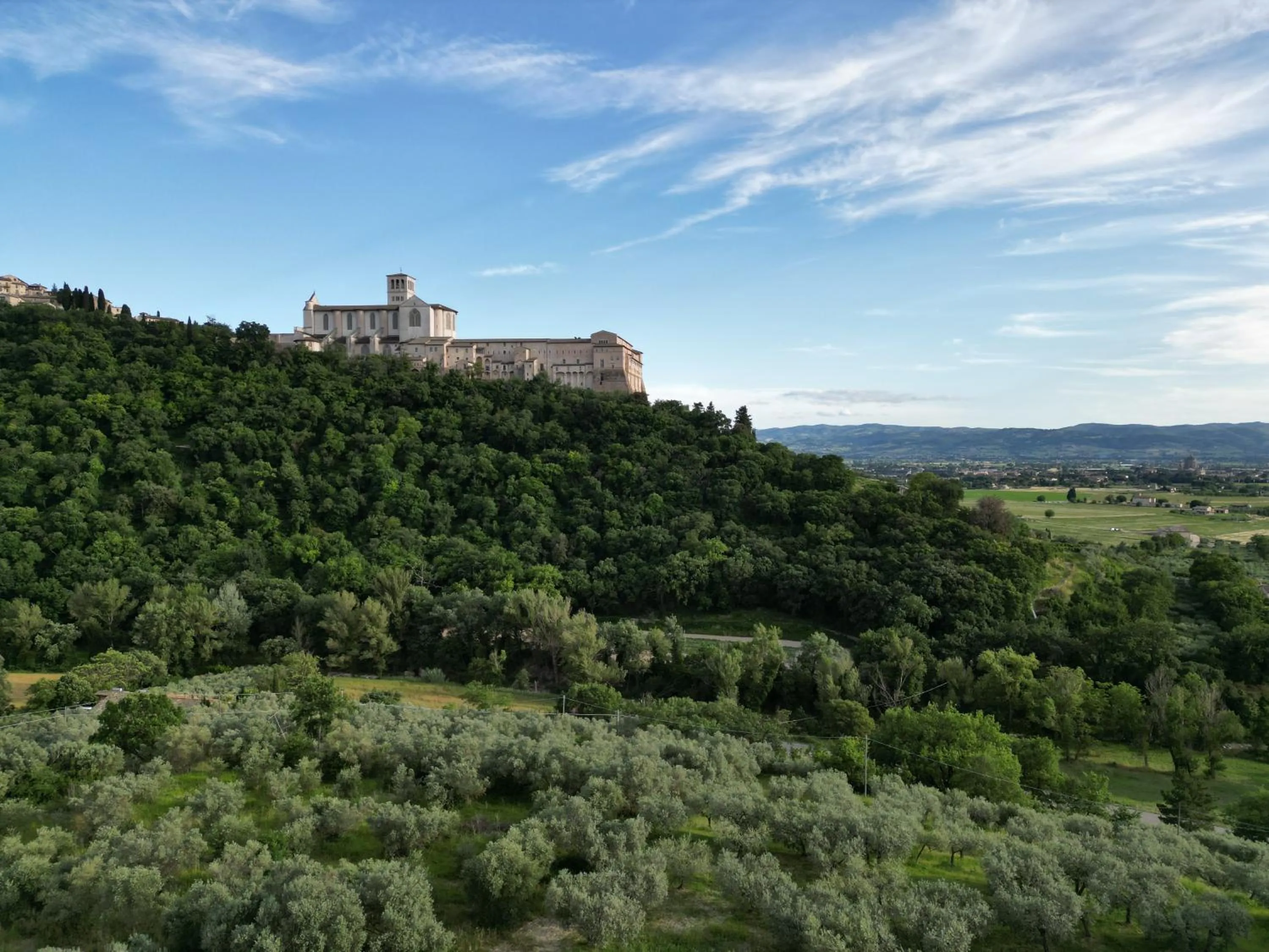 La Casa Tra Gli Ulivi