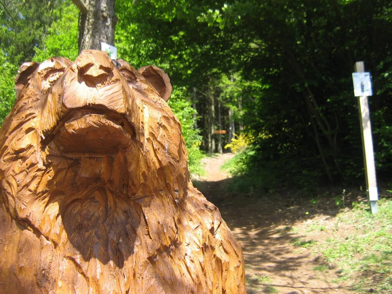 Hiking in Hotel Vicinity