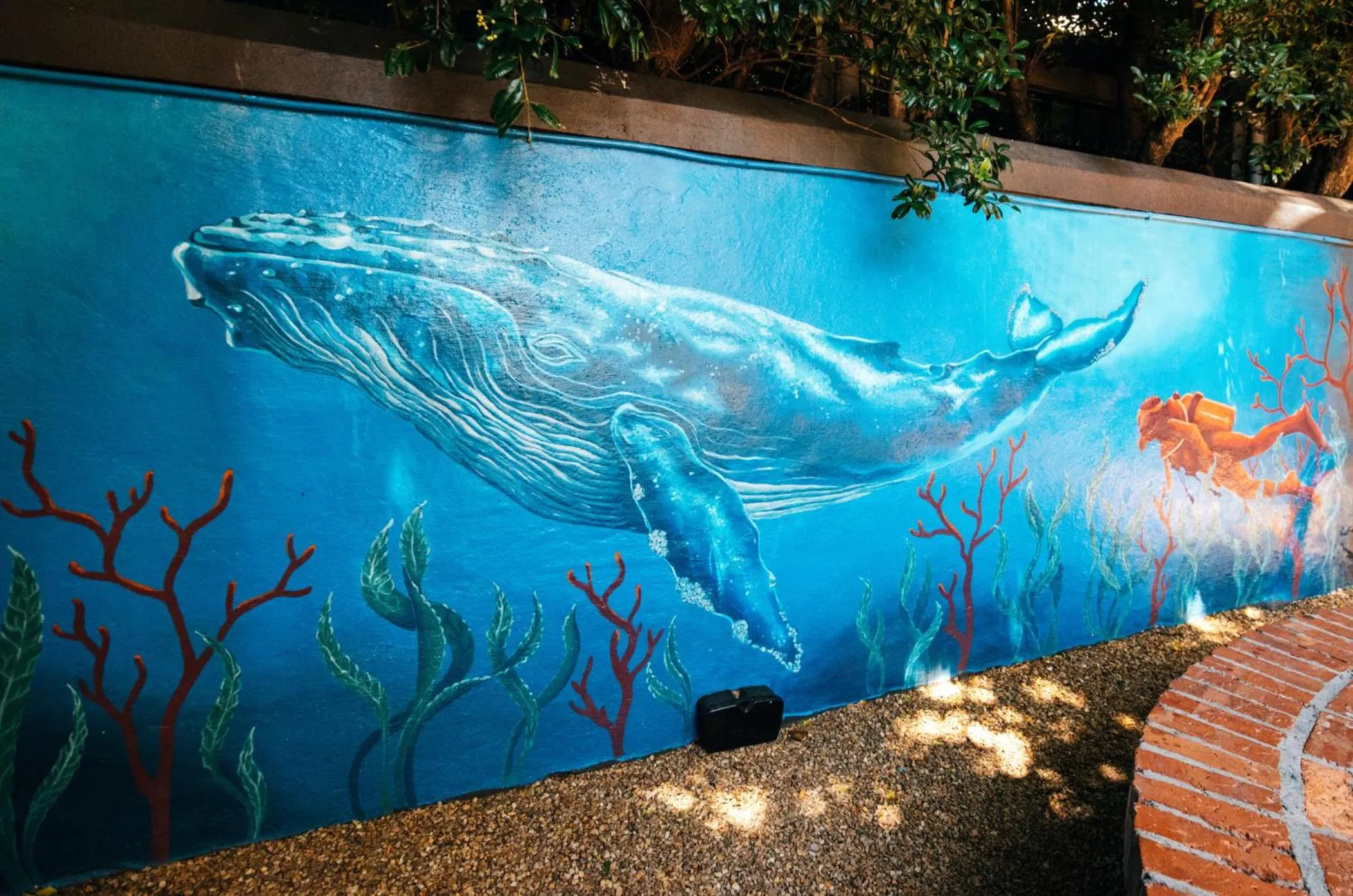 Property building in Never at Home Kloof Street