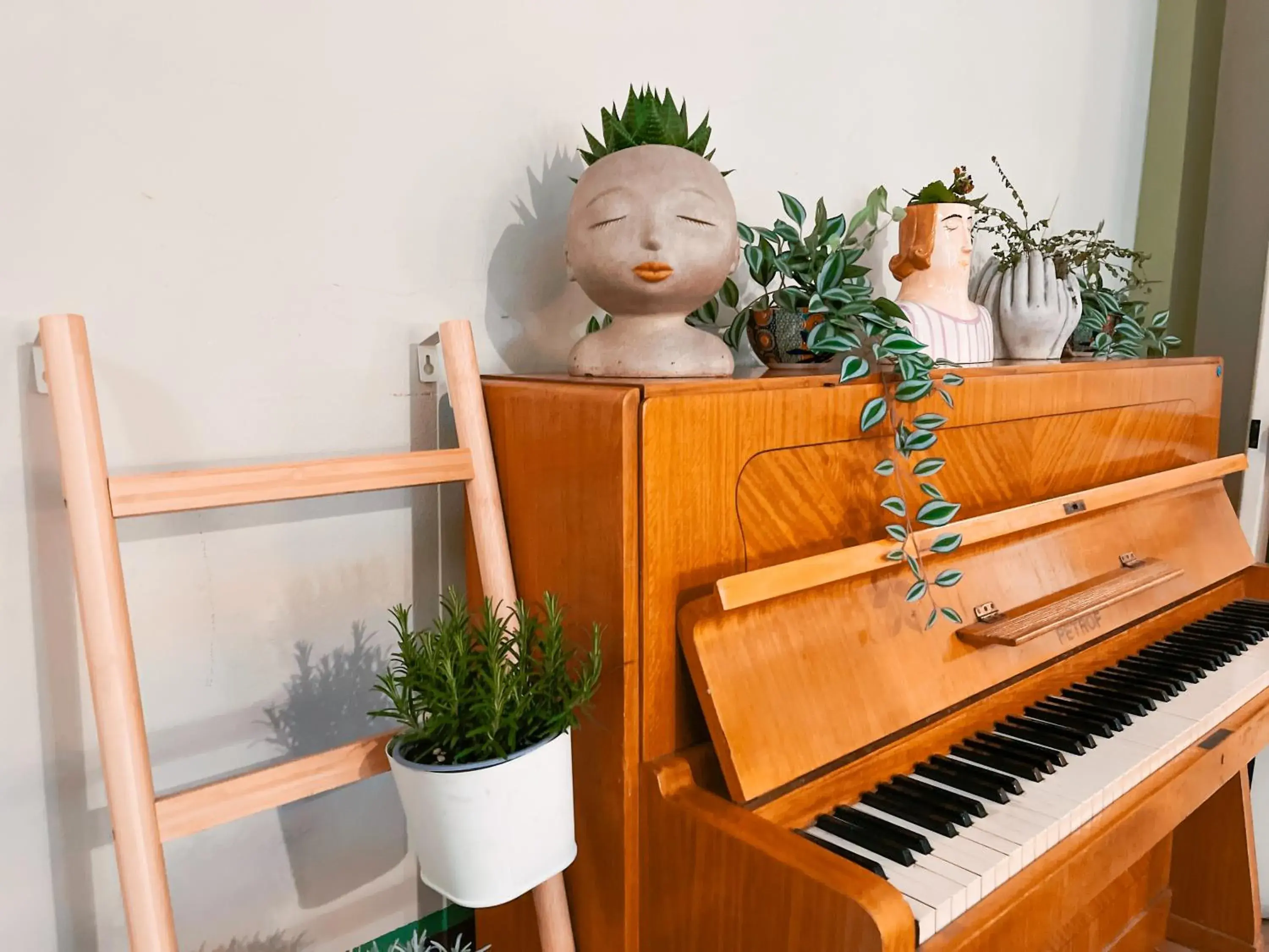 Restaurant/places to eat in Ostello Bello Firenze Restaurant/places to eat in Ostello Bello Firenze