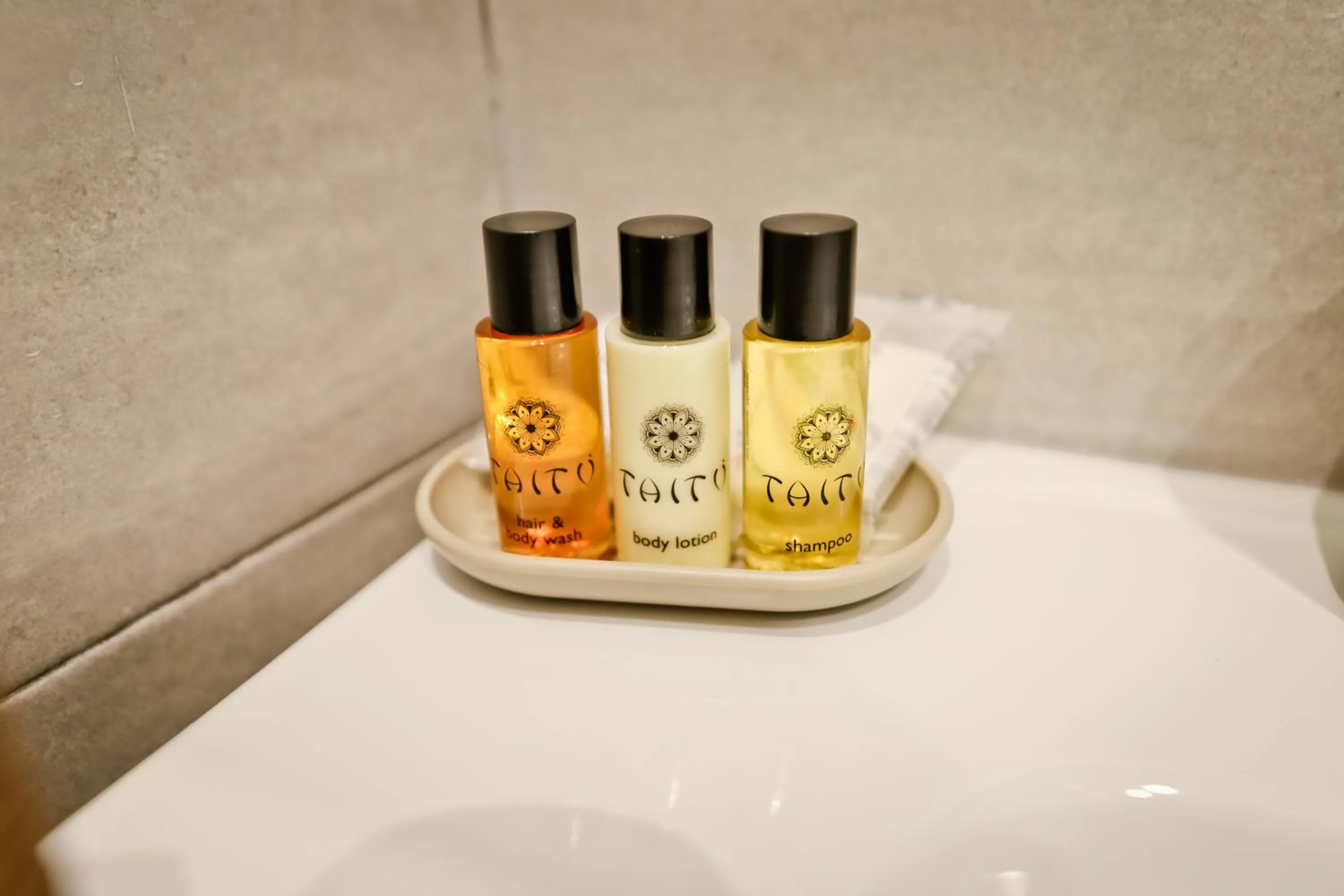 Bathroom in Montesanto Station