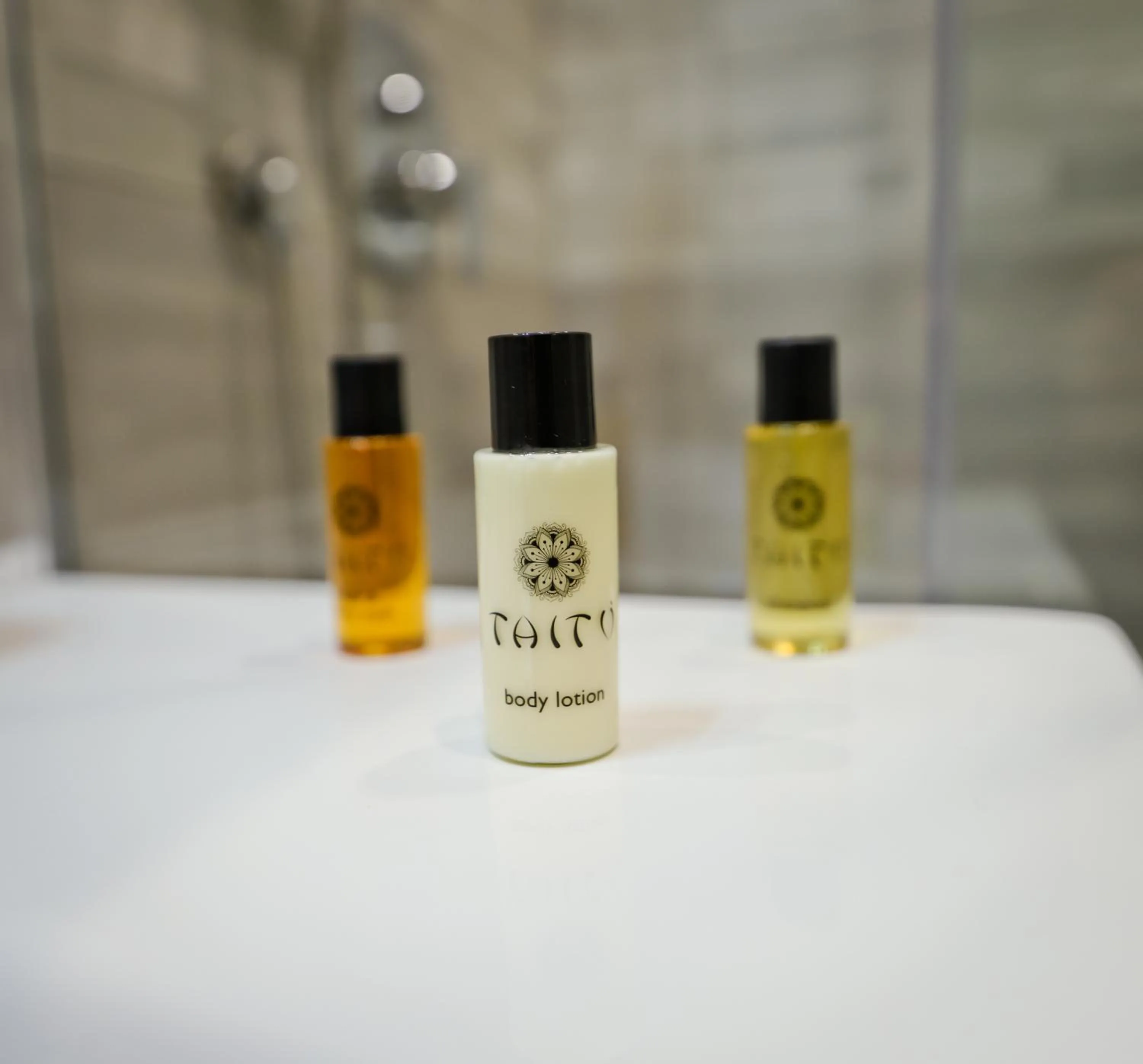 Bathroom in Montesanto Station