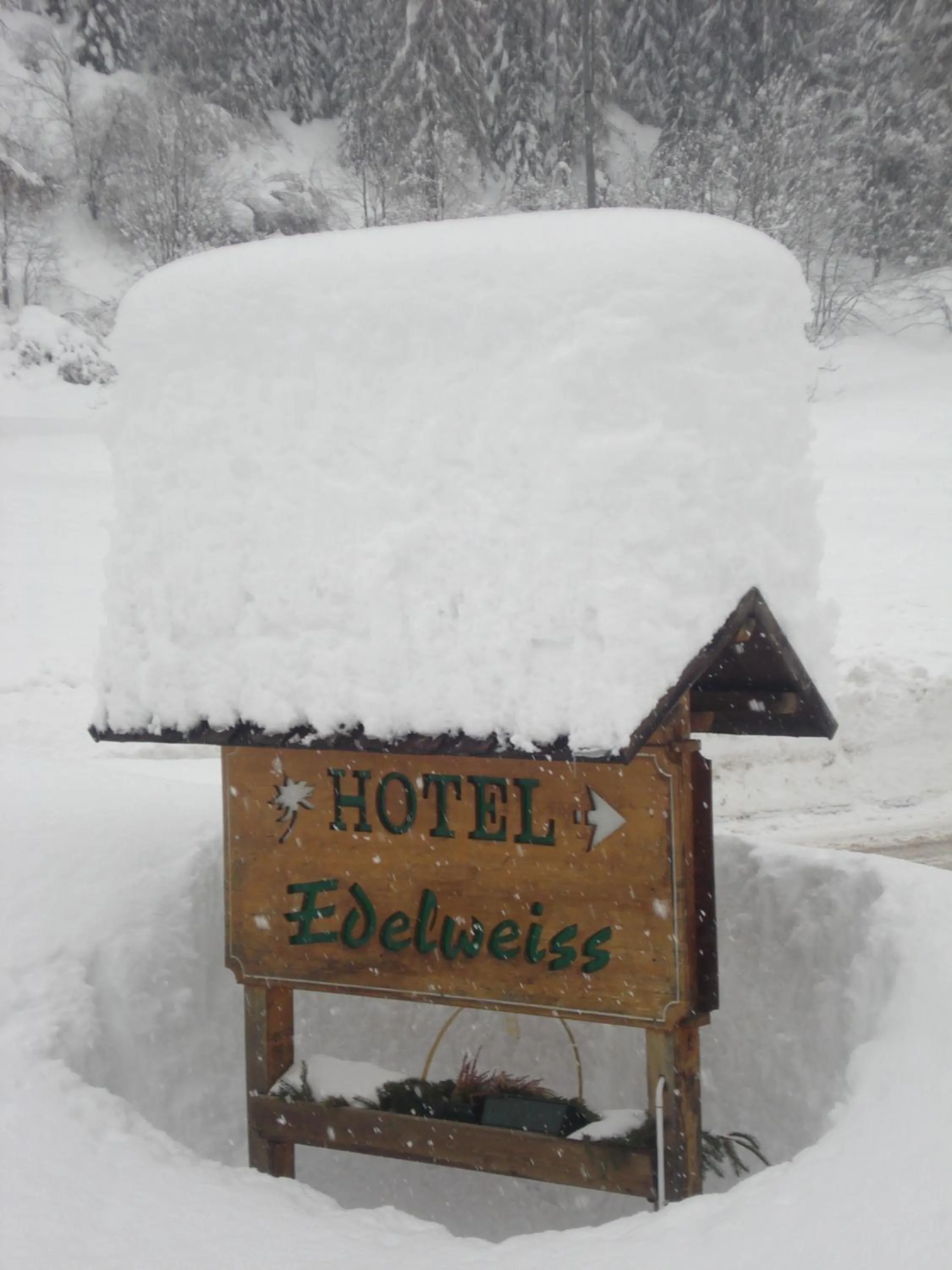 Winter in Hotel Edelweiss