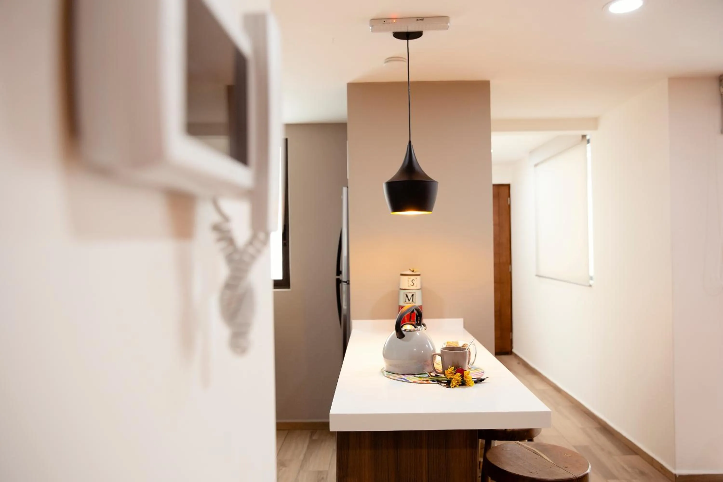 Kitchen or kitchenette in Kolben Nuoma