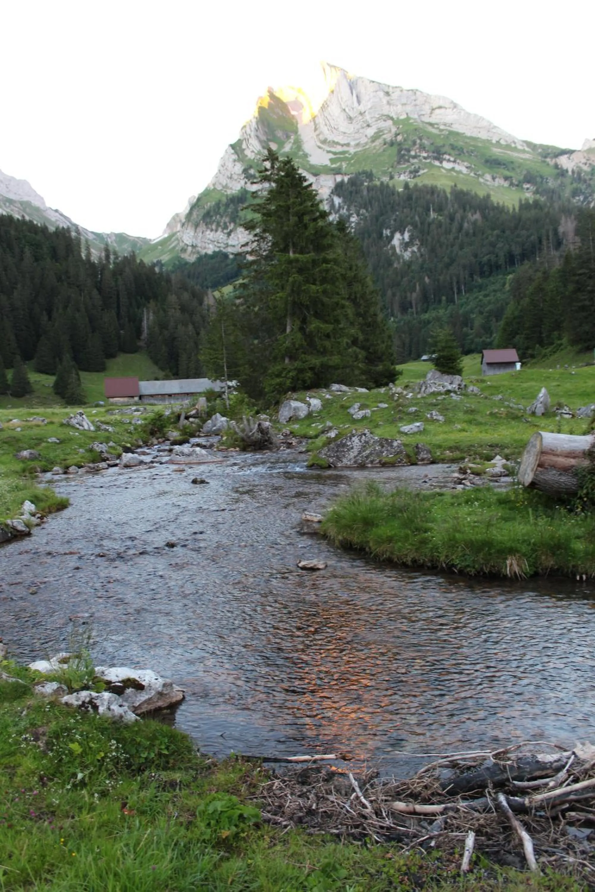 Area and facilities in Hotel Sternen Unterwasser