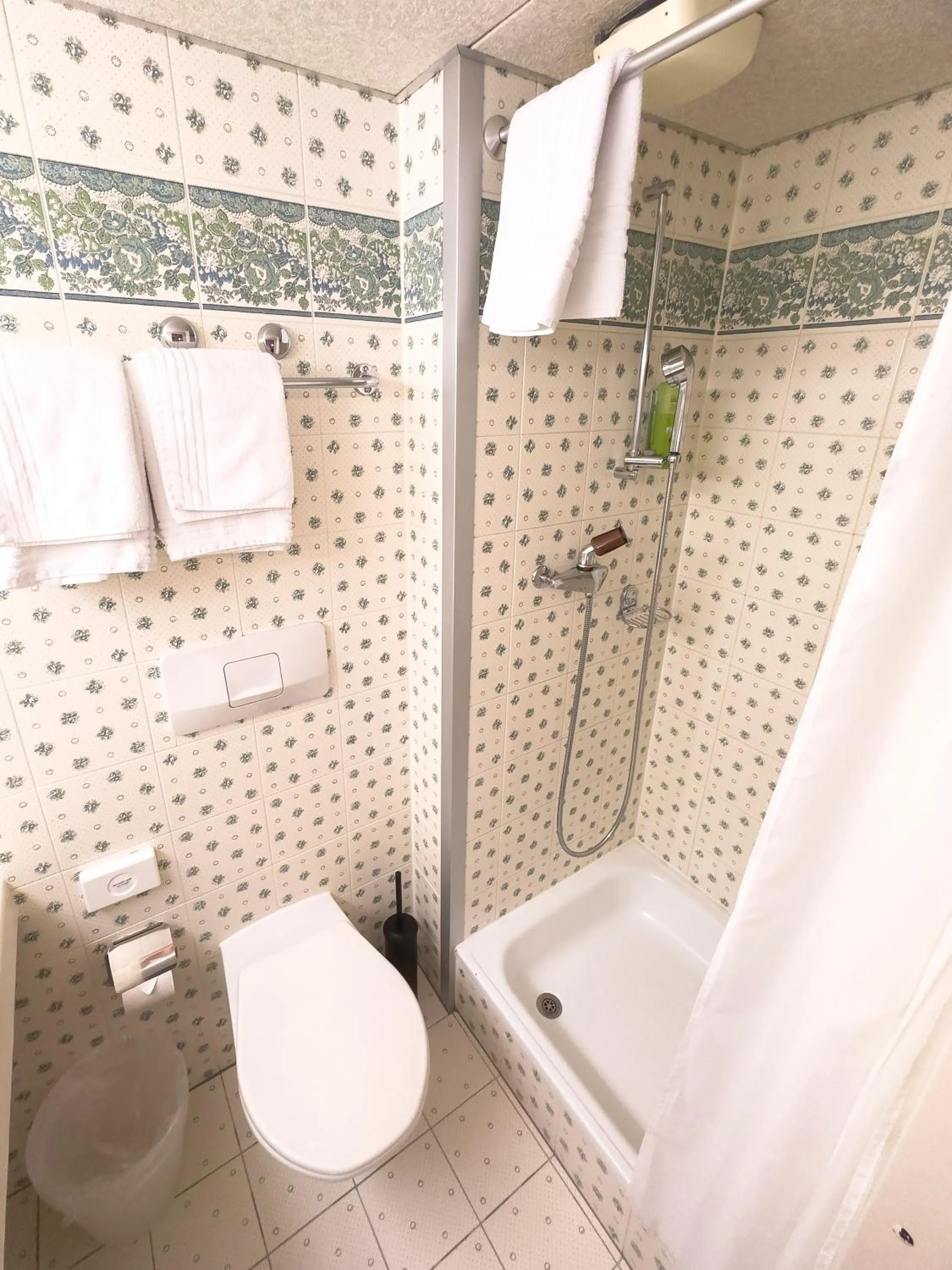 Toilet in Hotel Sternen Unterwasser