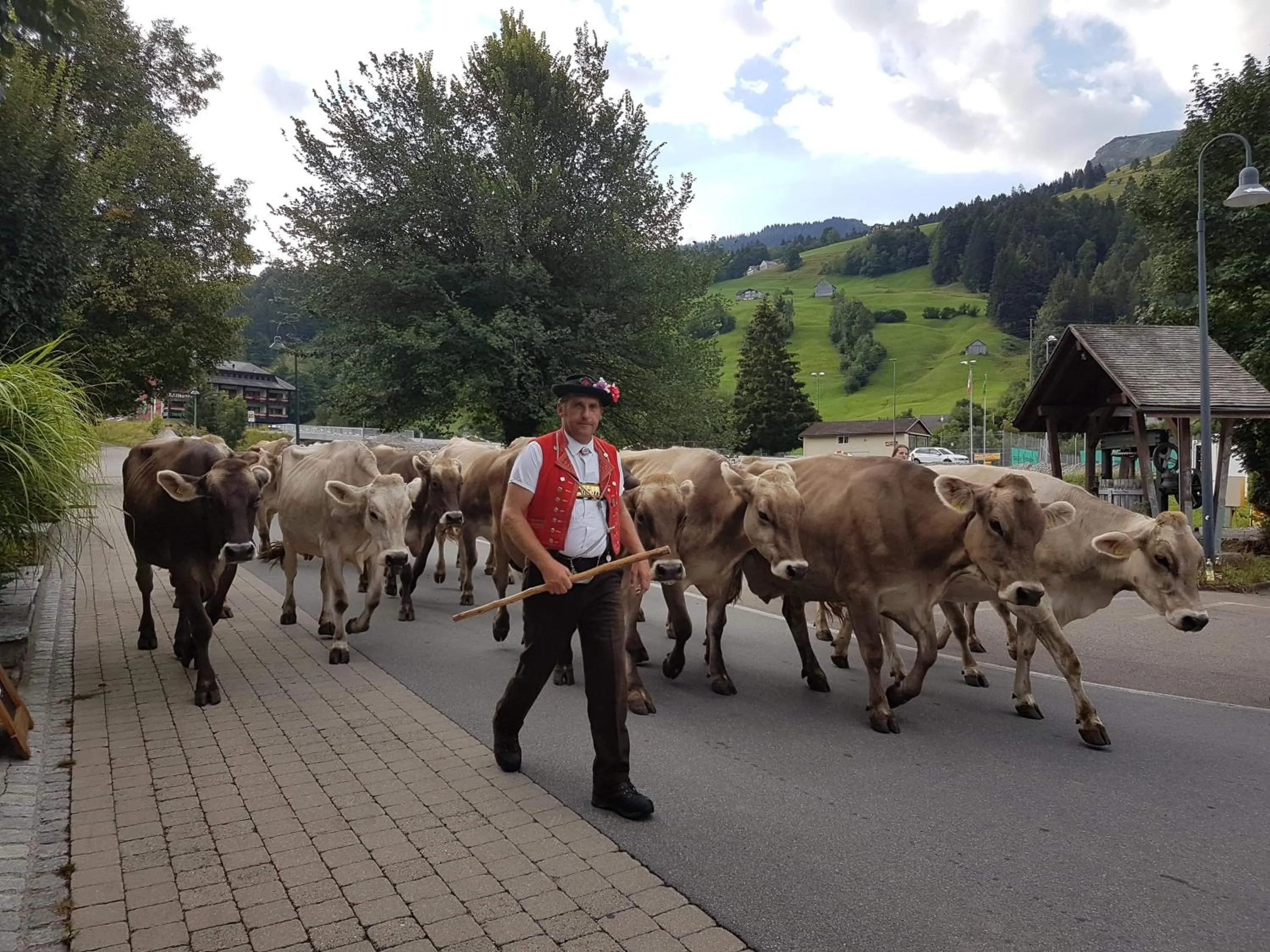 Area and facilities in Hotel Sternen Unterwasser