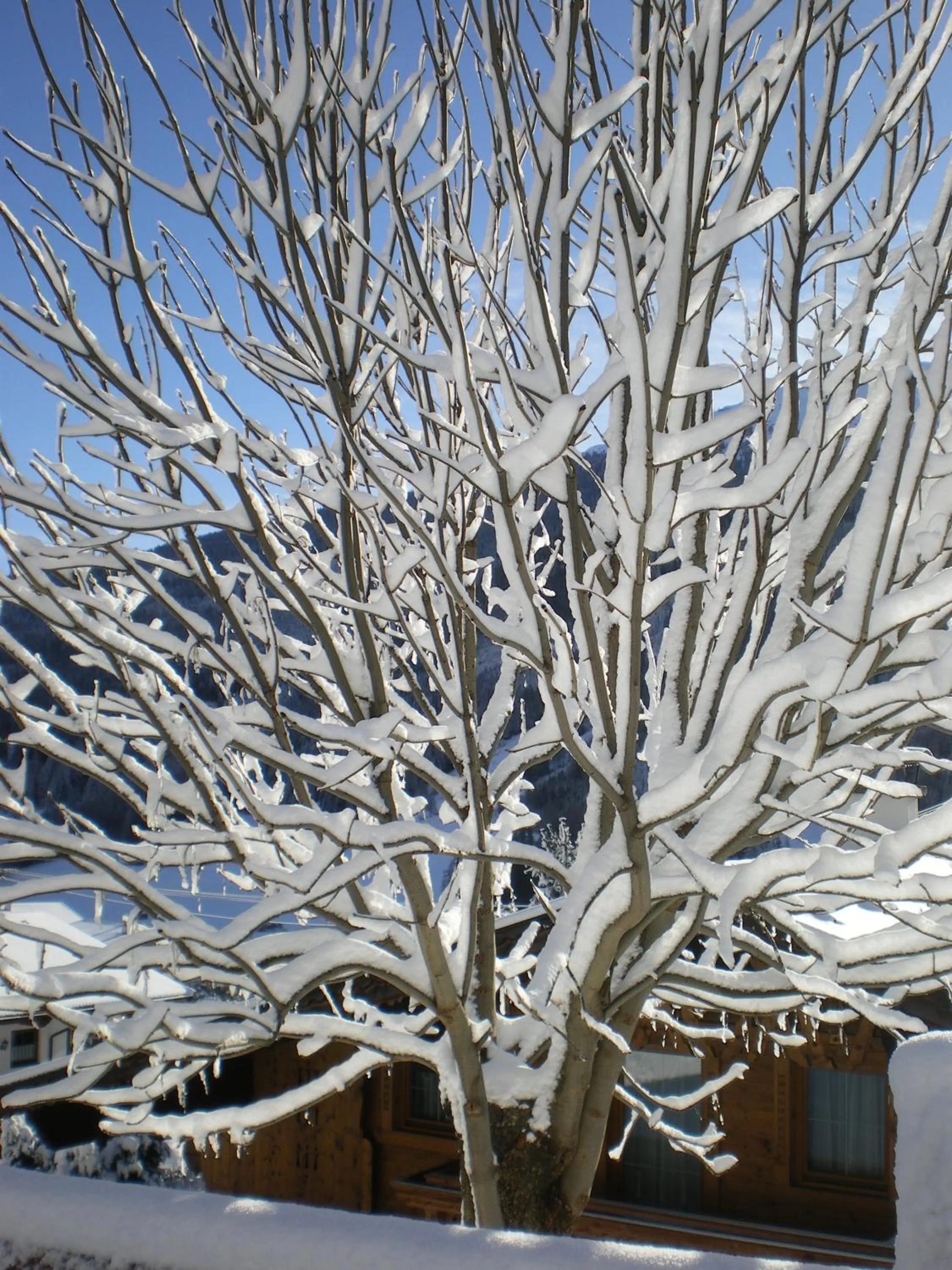 Property building in Hotel Zita