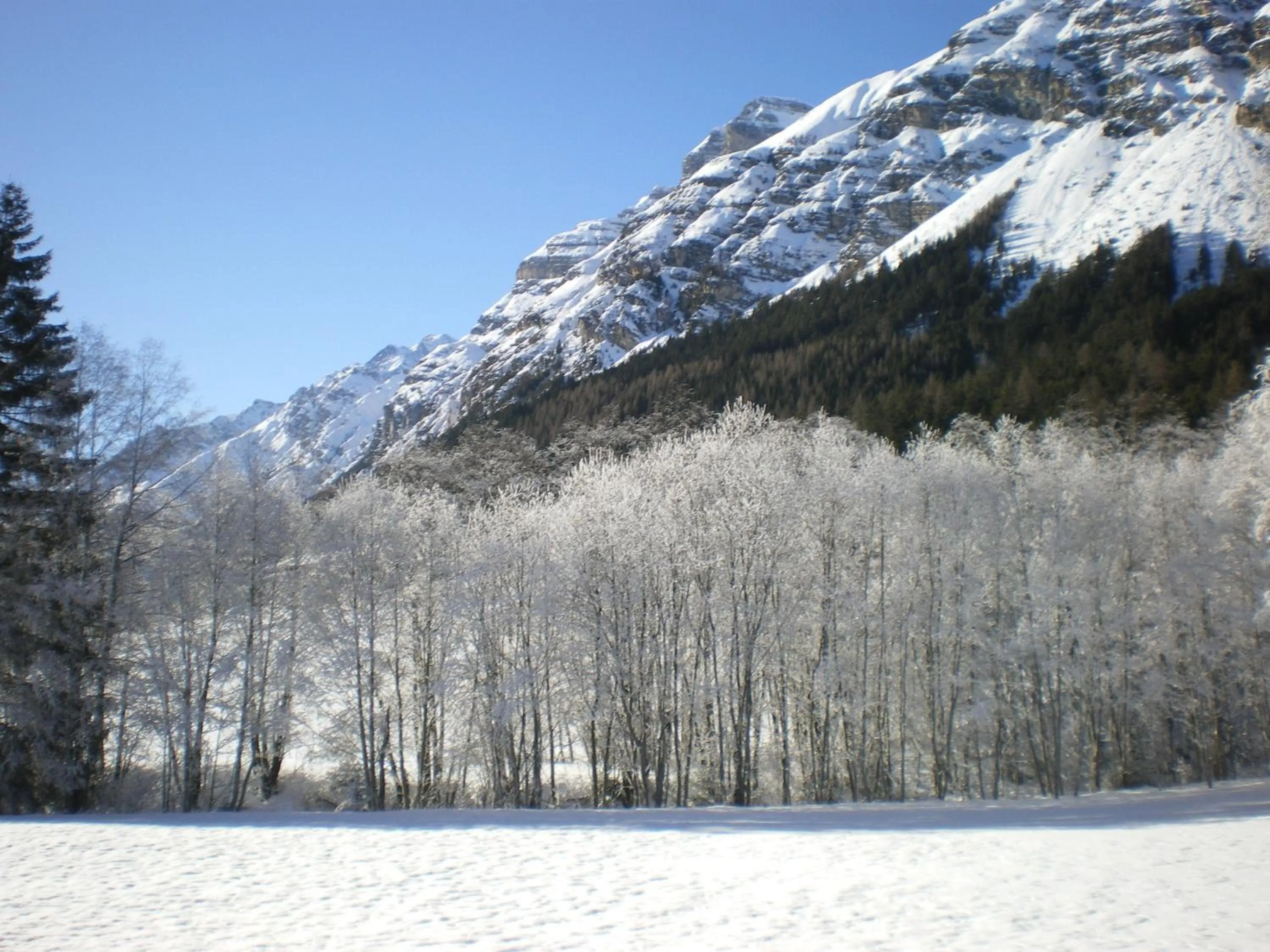 Area and facilities in Hotel Zita