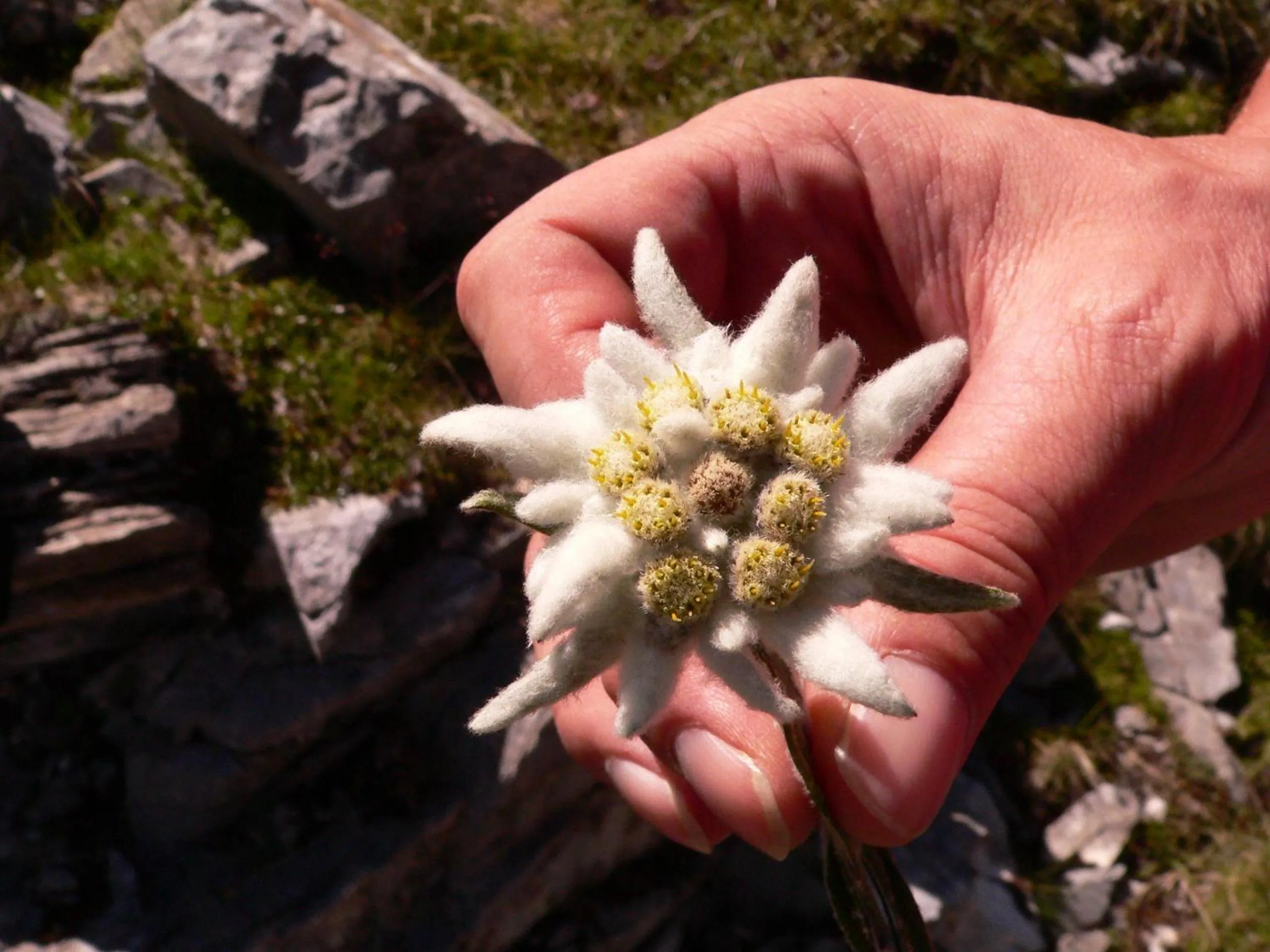 Activities in Hotel Zita