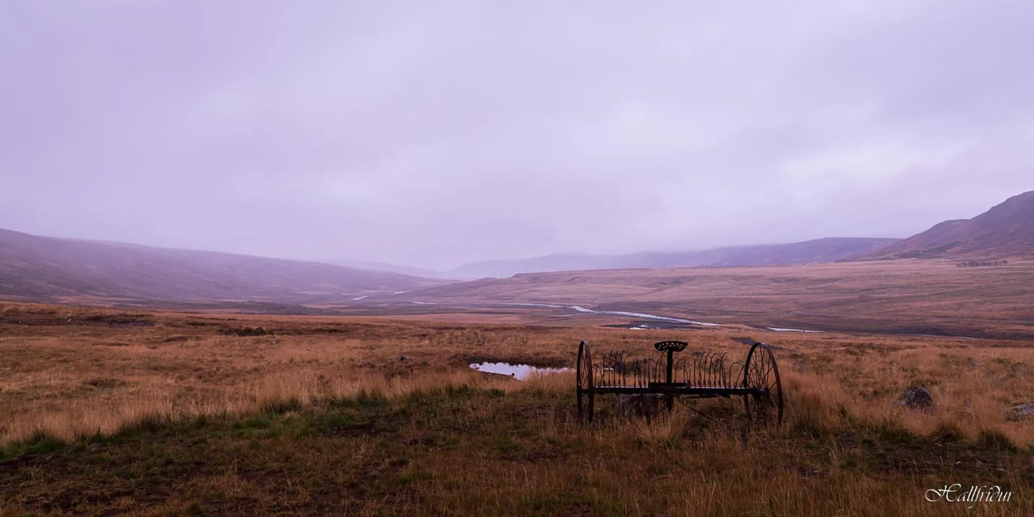 View (from property/room) in Basalt Hotel