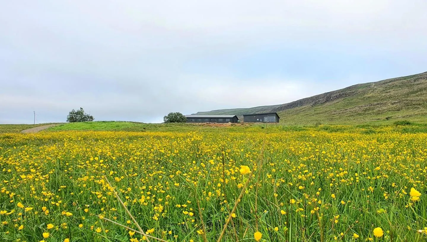 Property building in Basalt Hotel