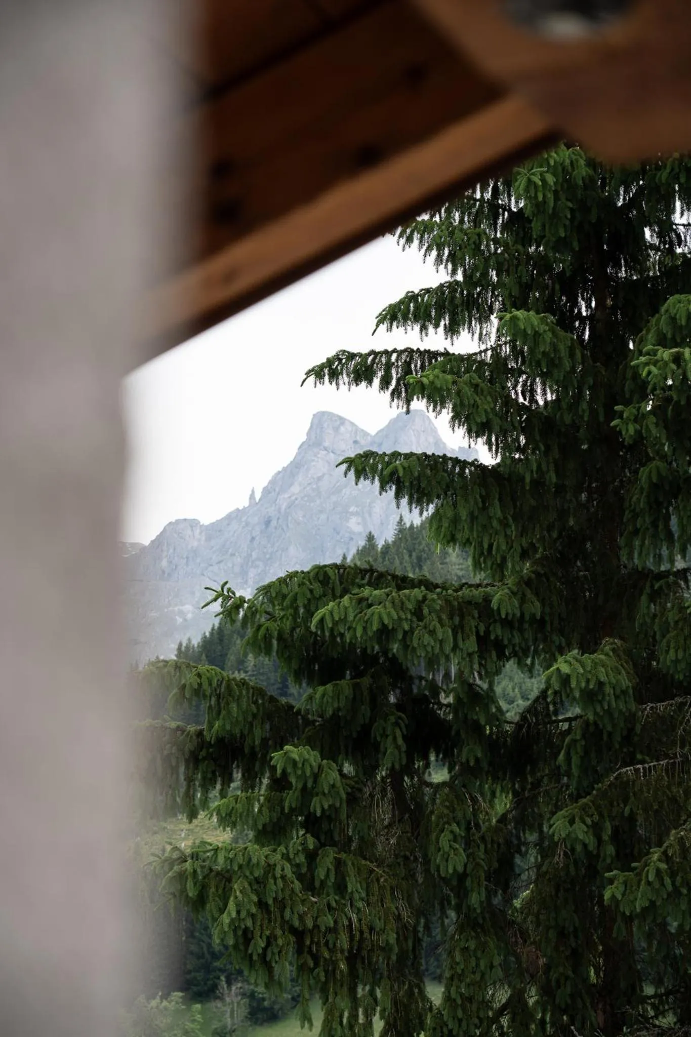 Gasthof Schöntal