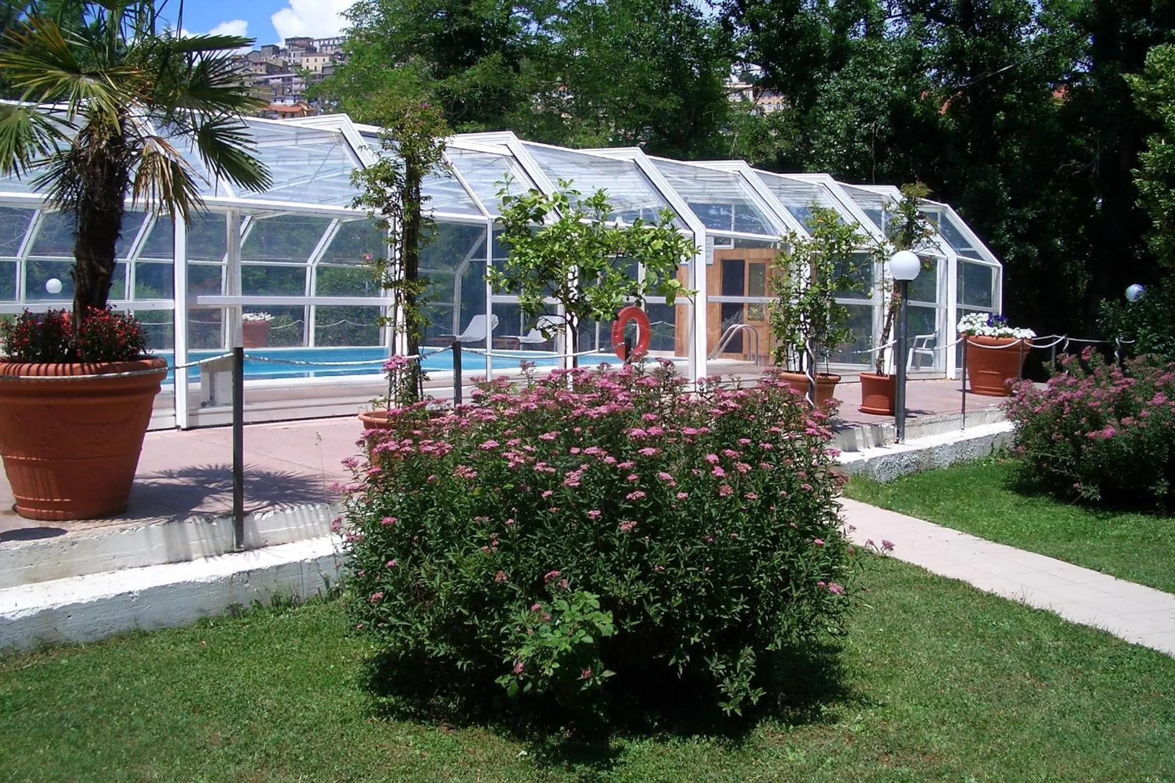Swimming pool in King Hotel