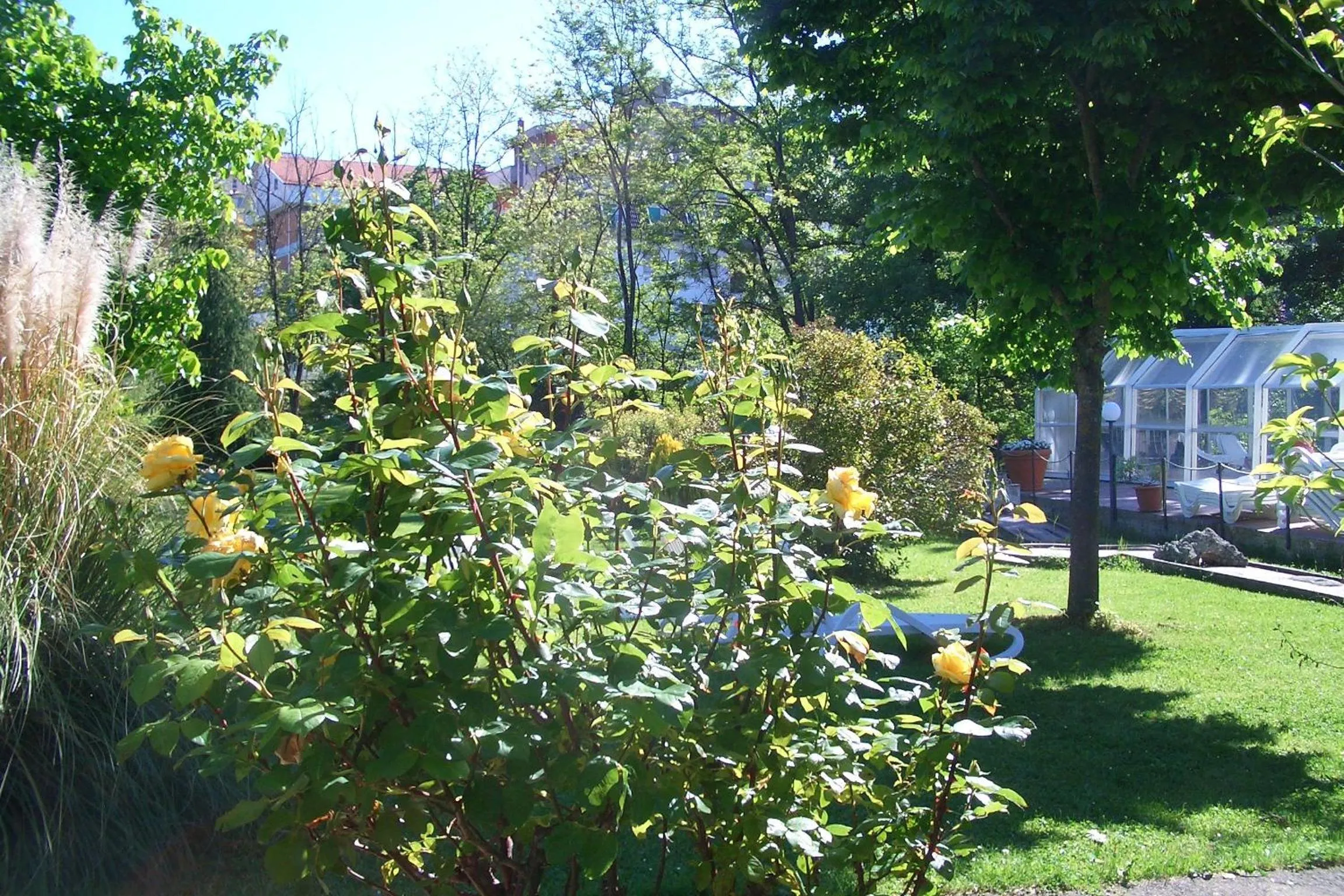 Garden in King Hotel