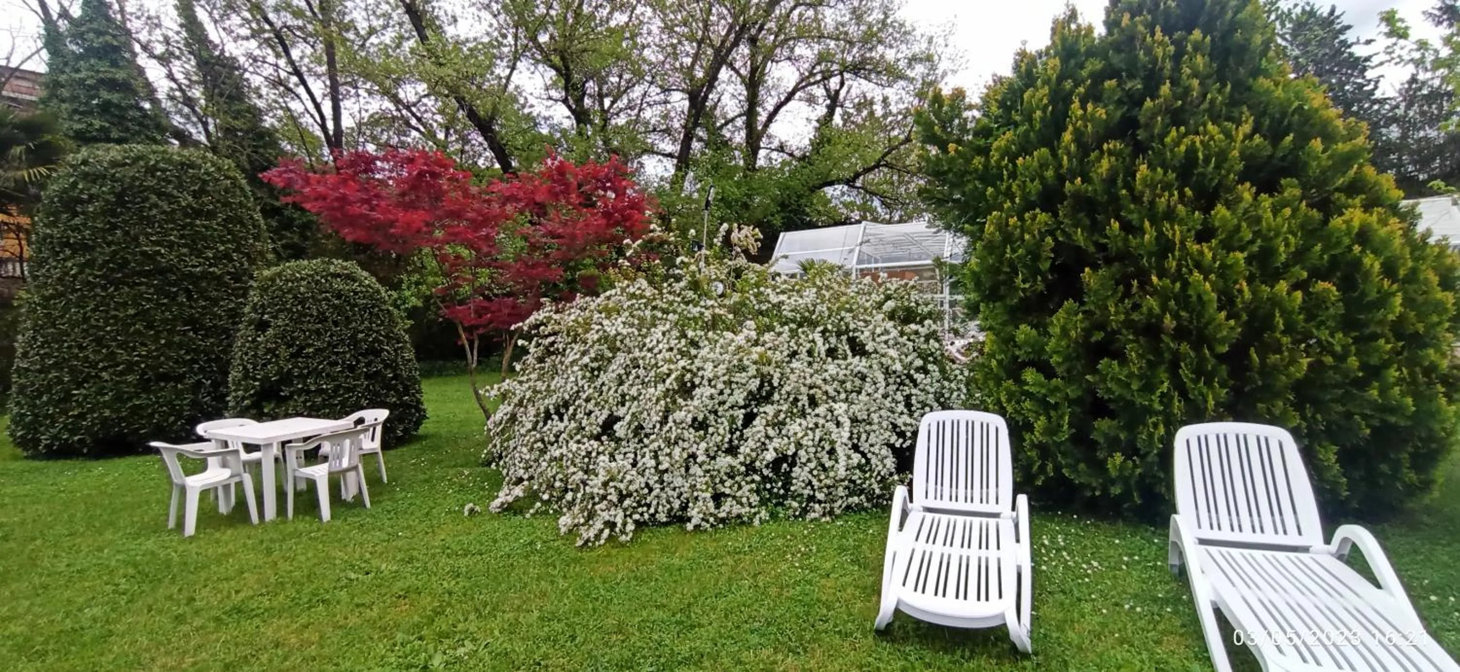 Spring in King Hotel