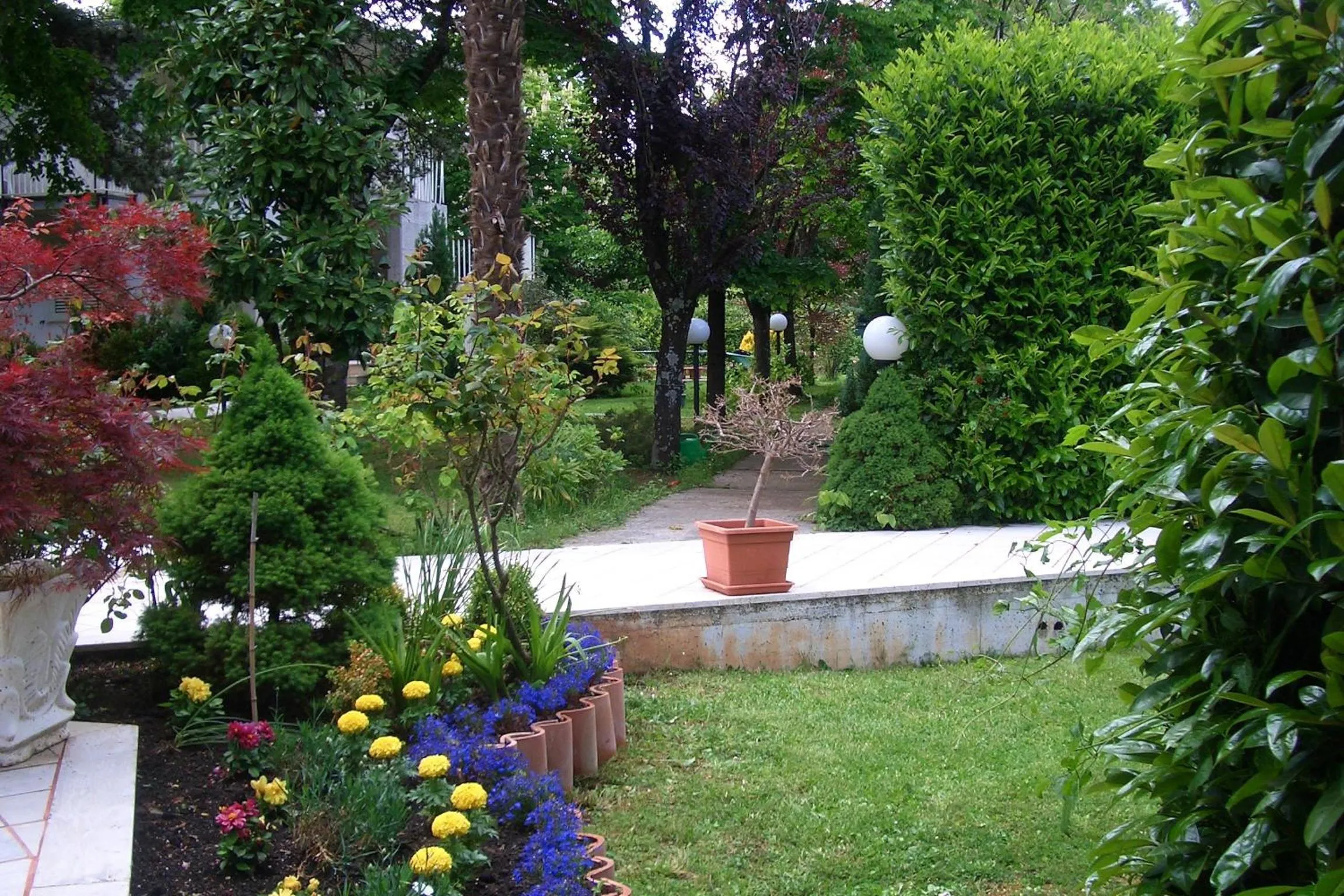 Garden in King Hotel