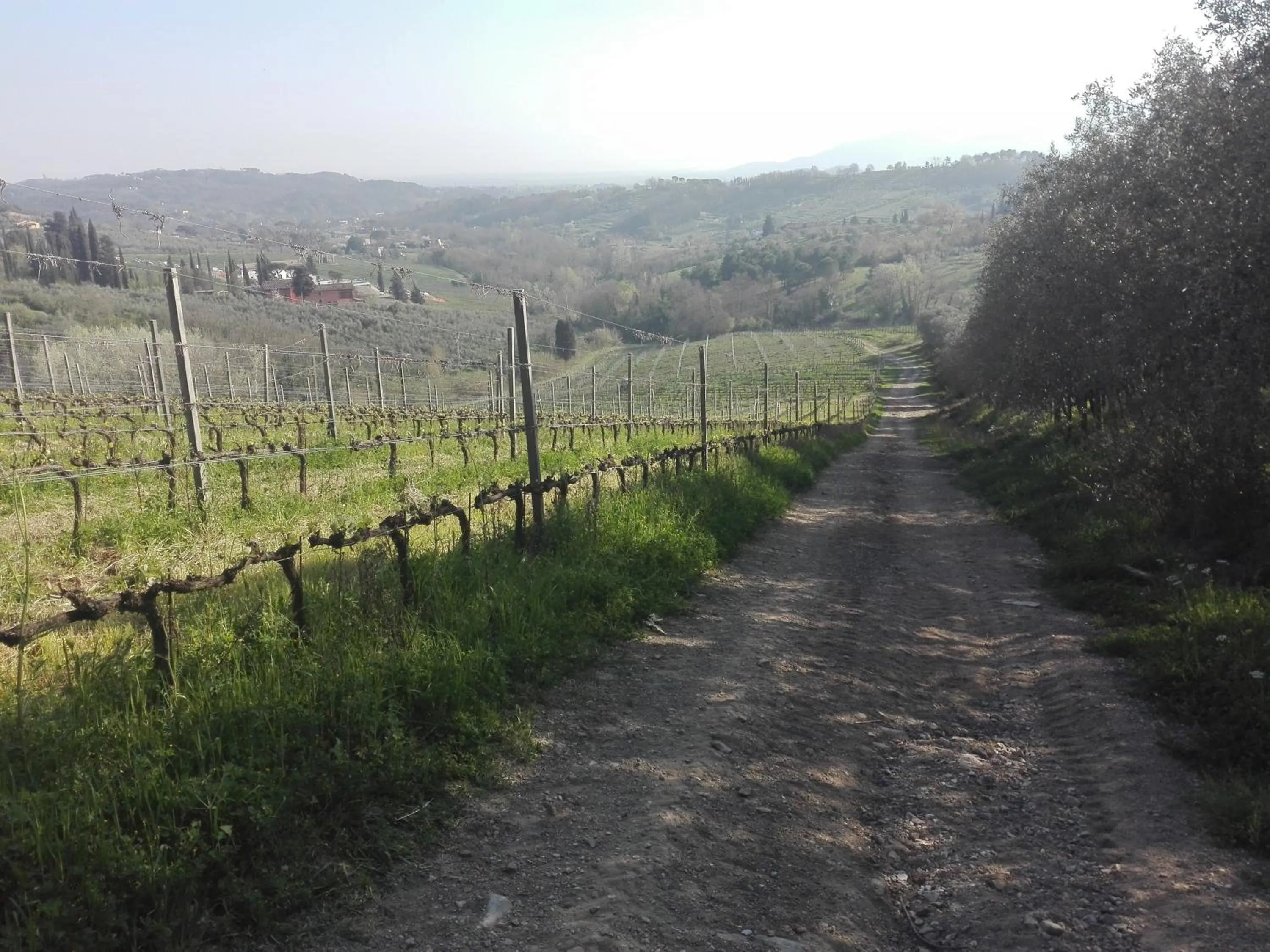 Natural landscape in Fattoria di Fubbiano