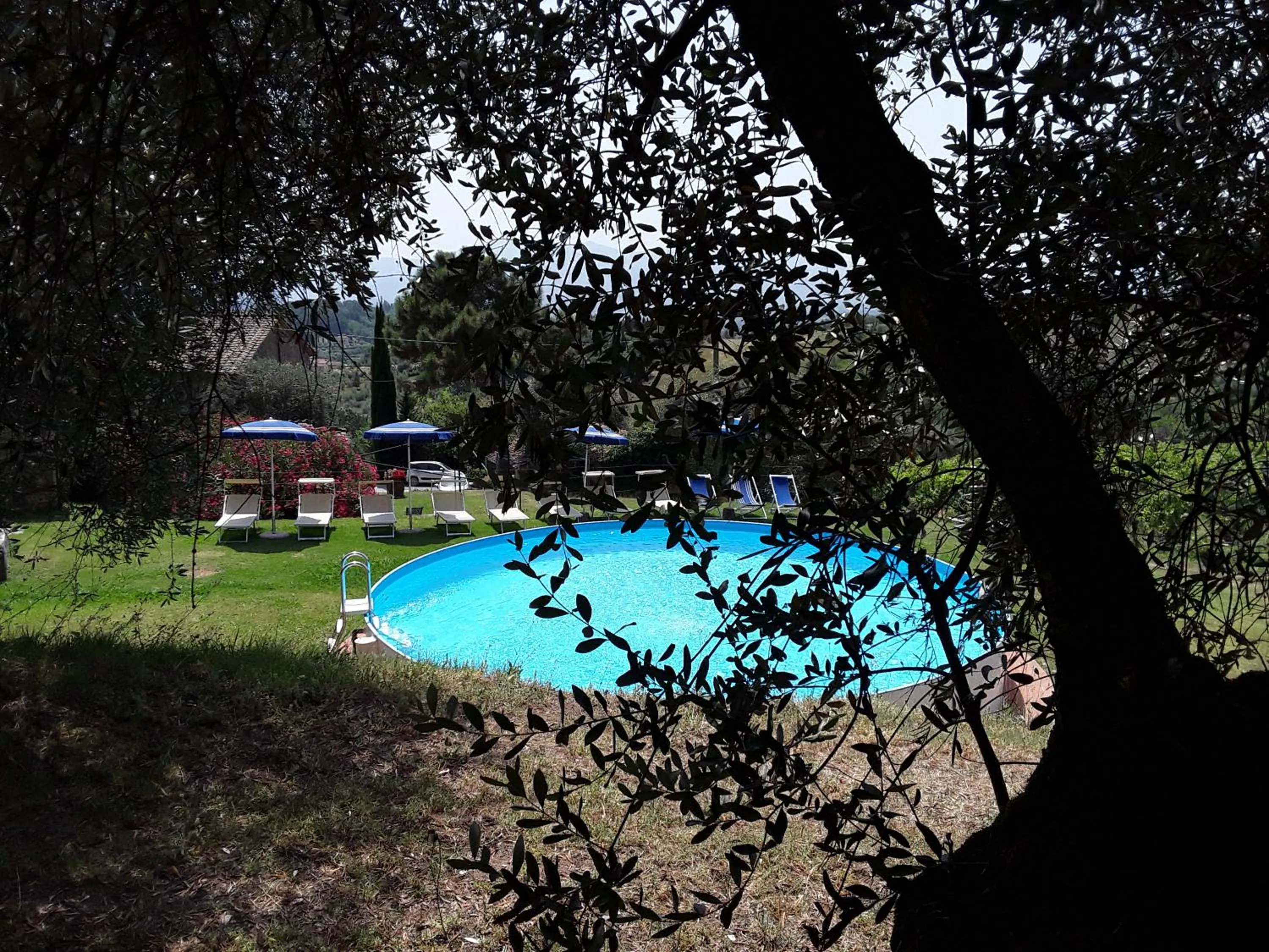 Swimming pool in Fattoria di Fubbiano