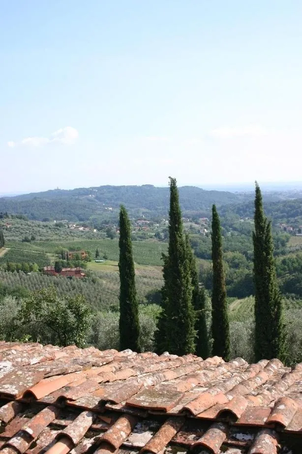 View (from property/room) in Fattoria di Fubbiano