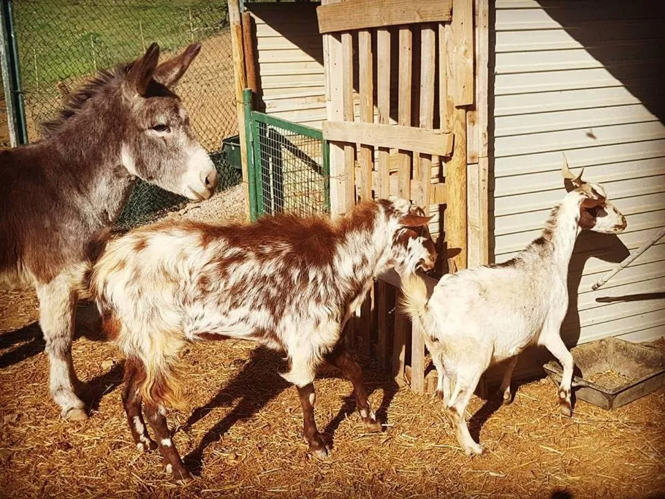 Monte Do Malhao - Art, Eco & Spa