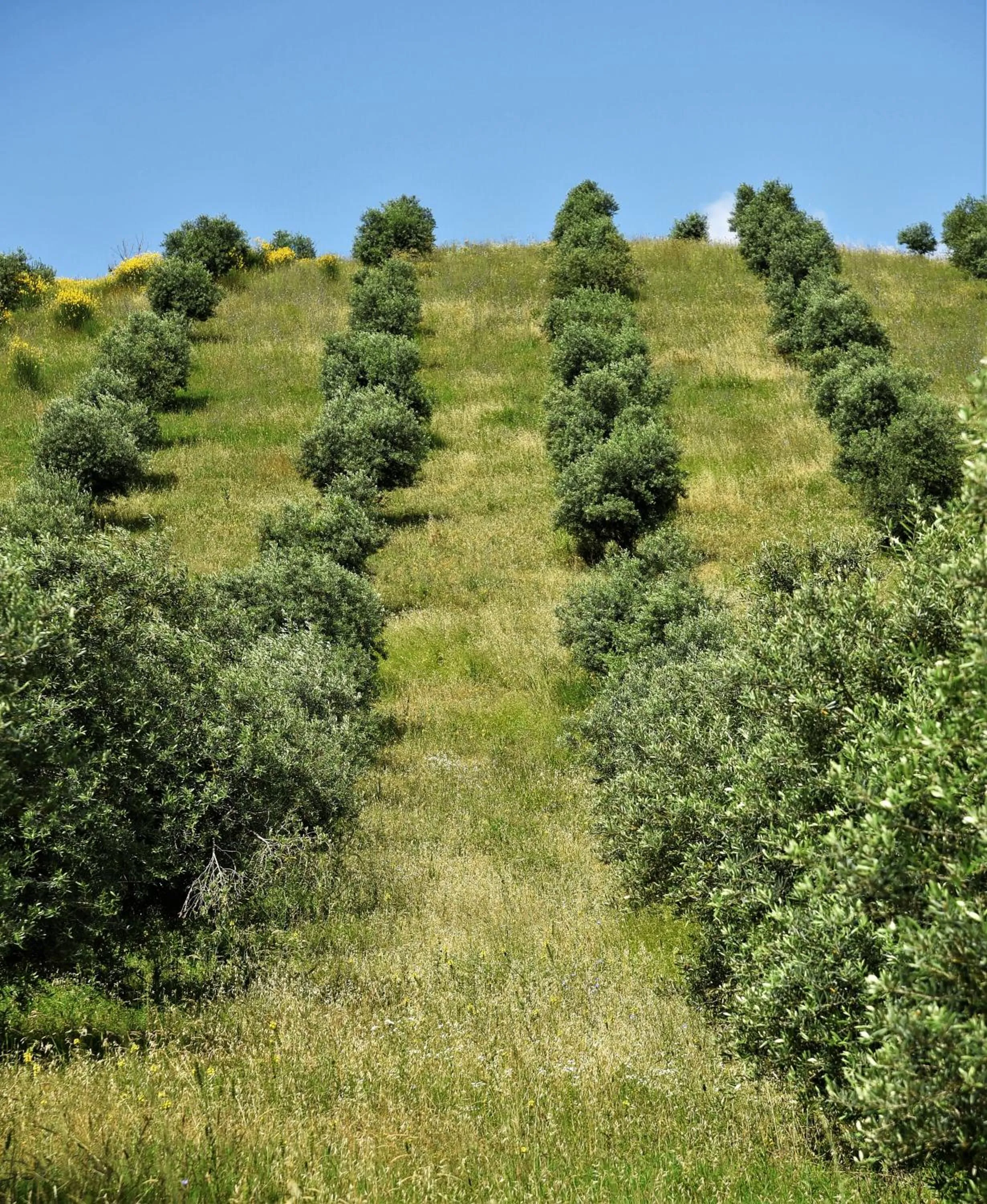 La Casetta del Cantiniere