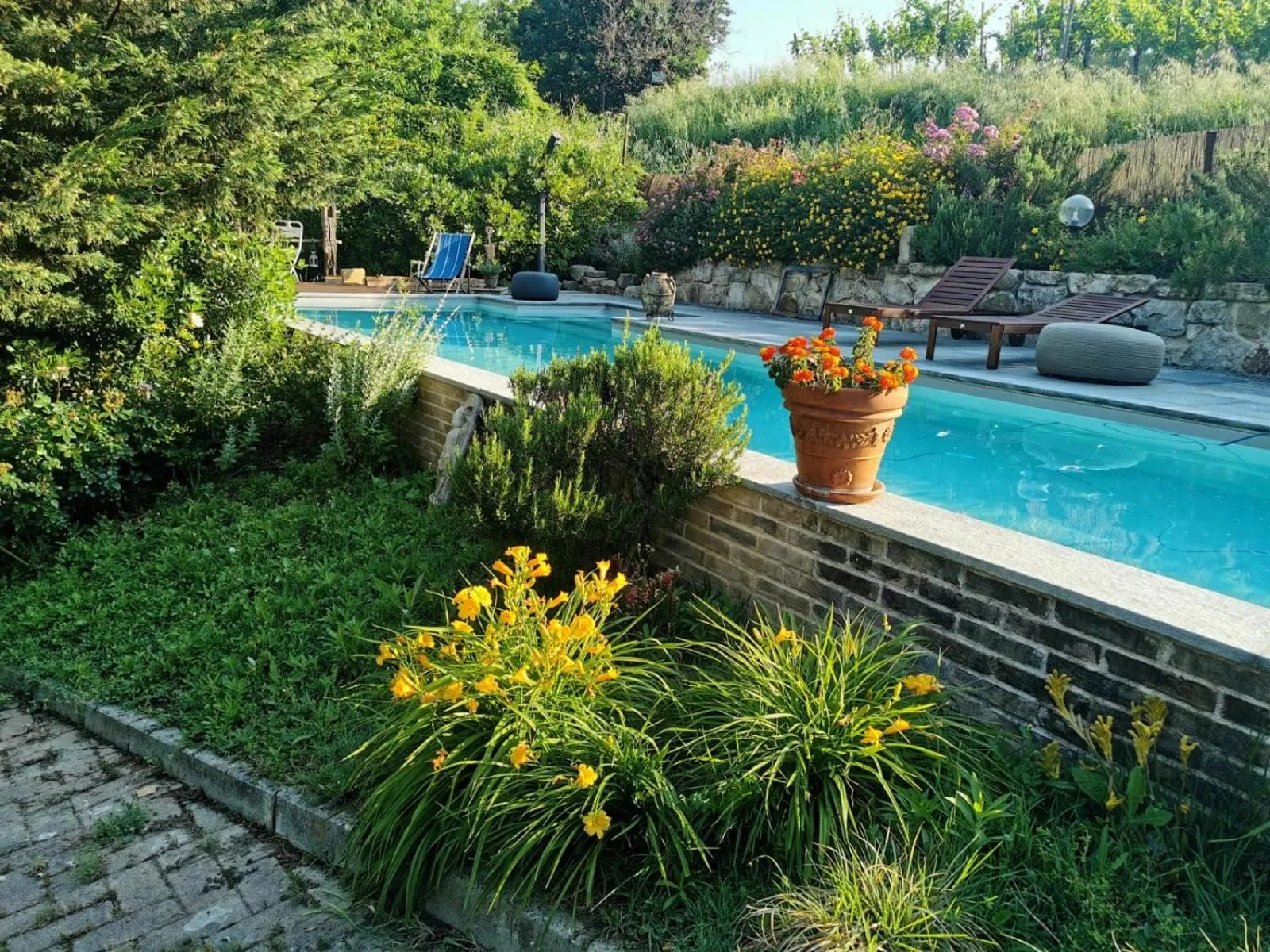 Swimming pool in B&B Casa Percivalle